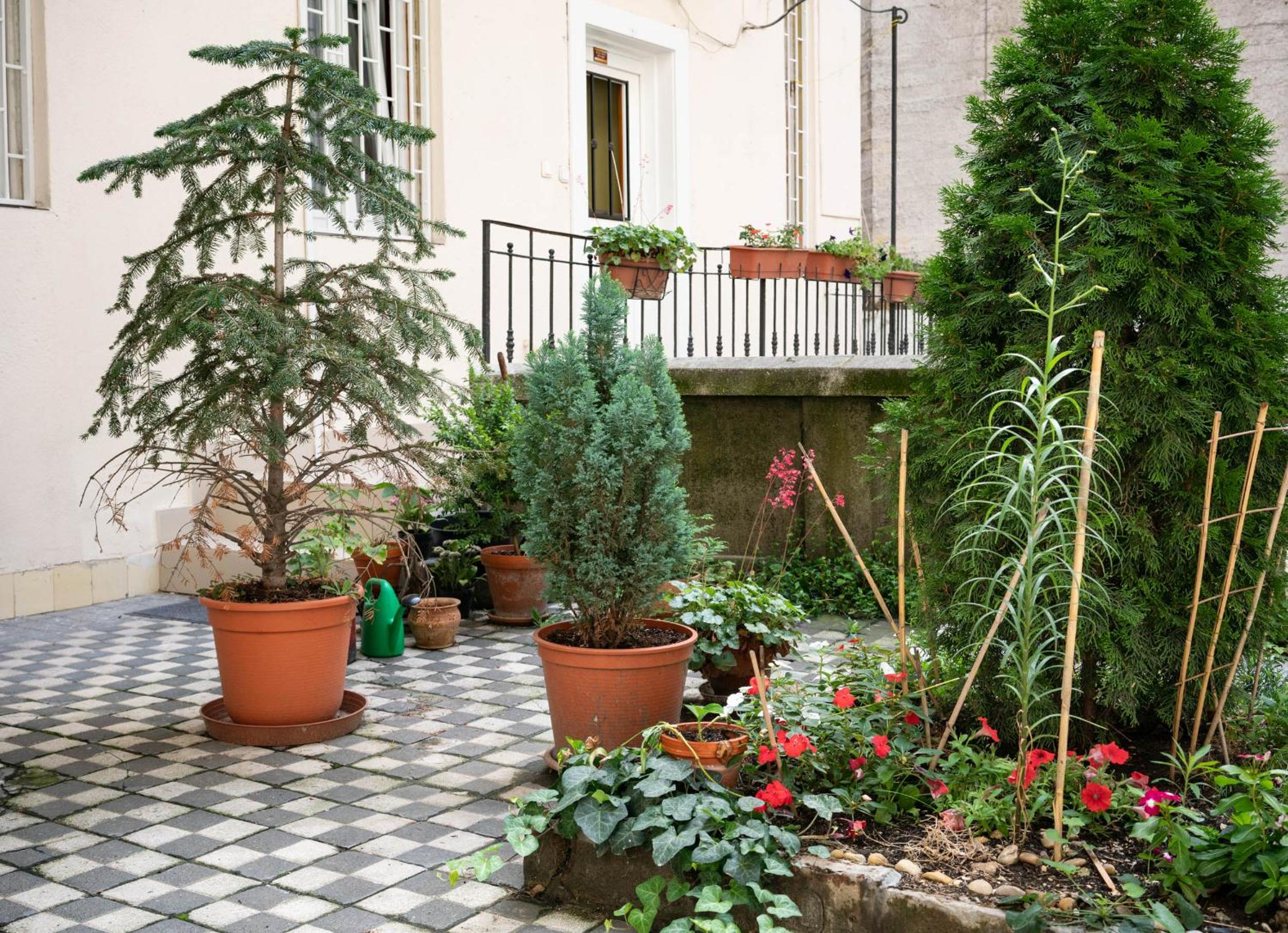 Lily Apartment Budapest view 4