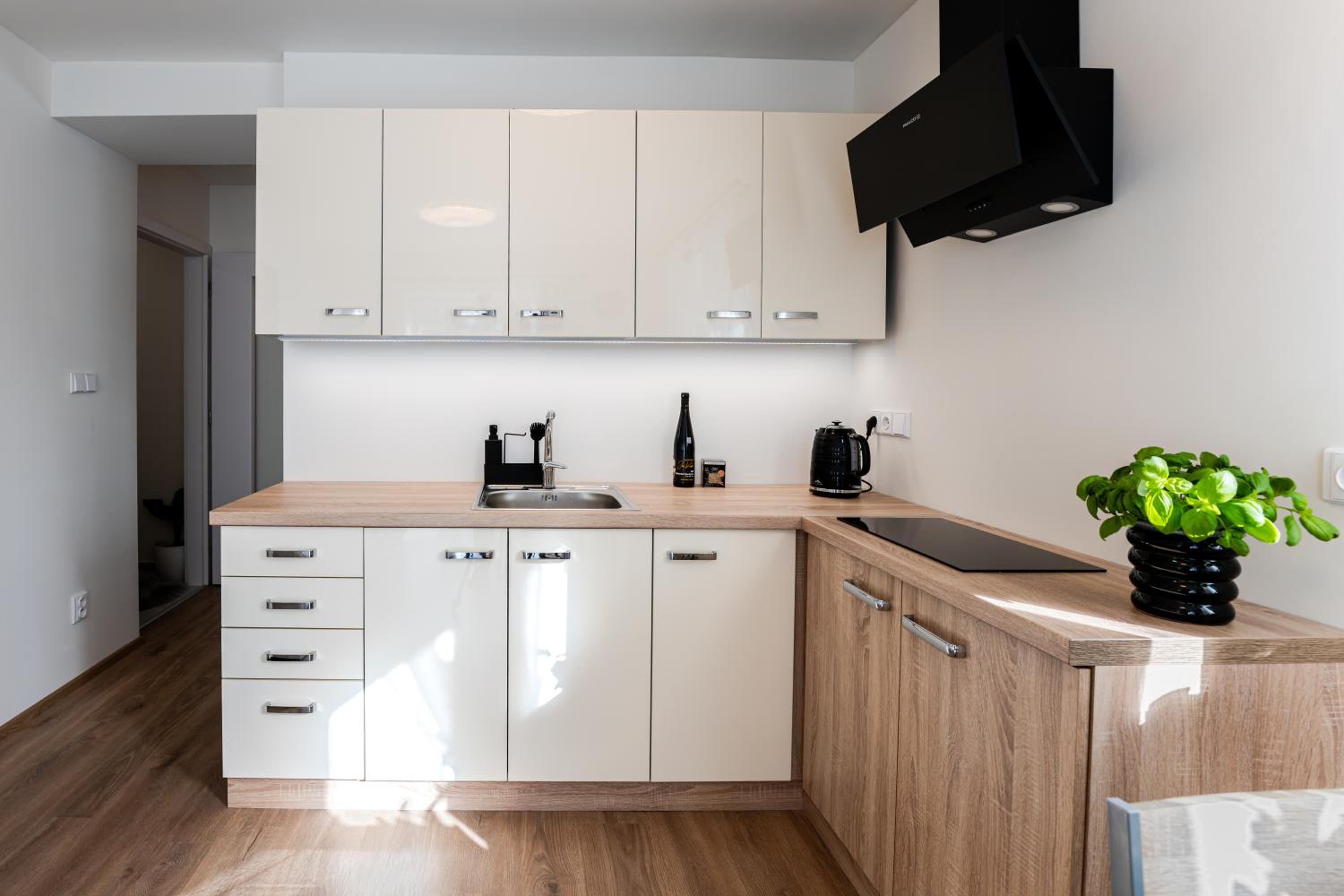 Apartmán Srdce Vysočiny