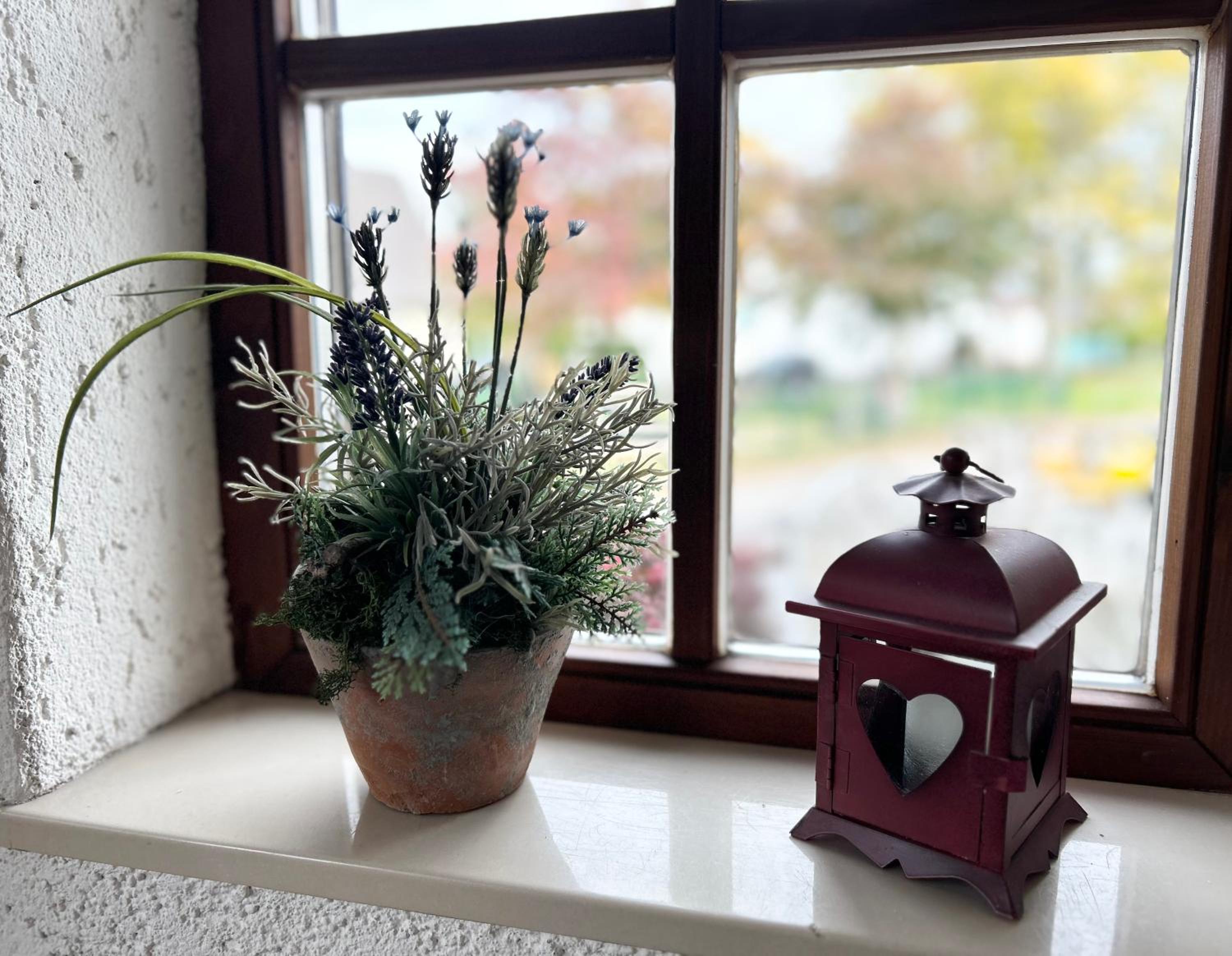Ganzes Ferienhaus in Nähe der Uniklinik in Waldrandlage