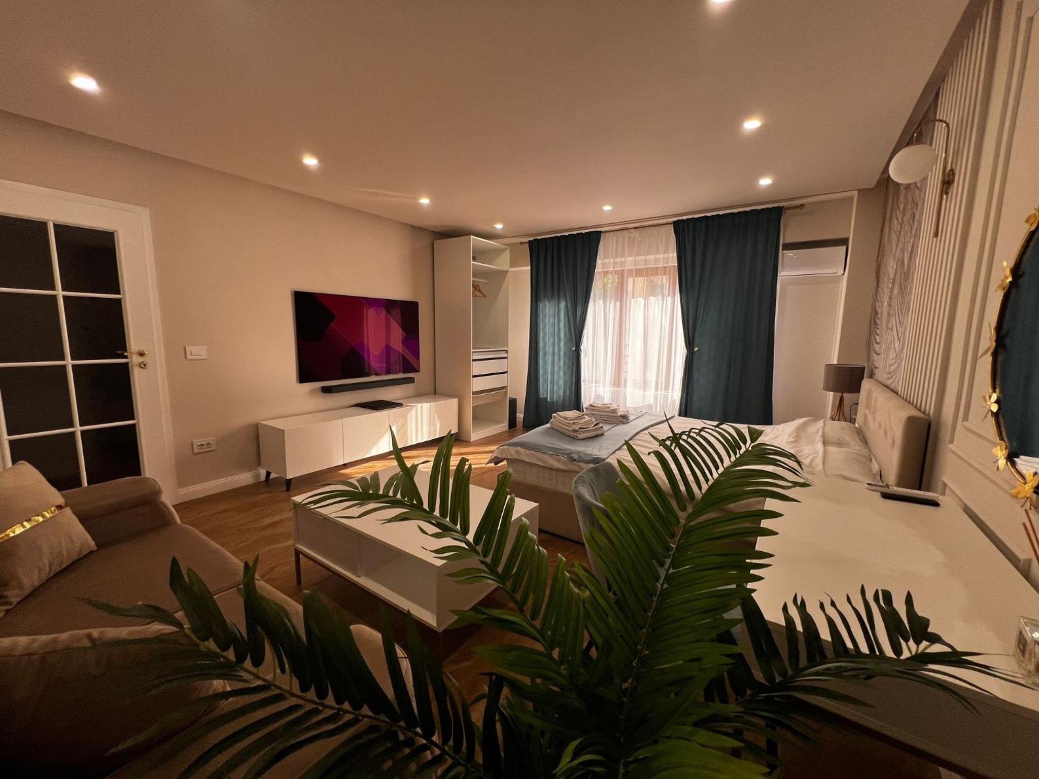 Apartament central lux 1 cameră view 3