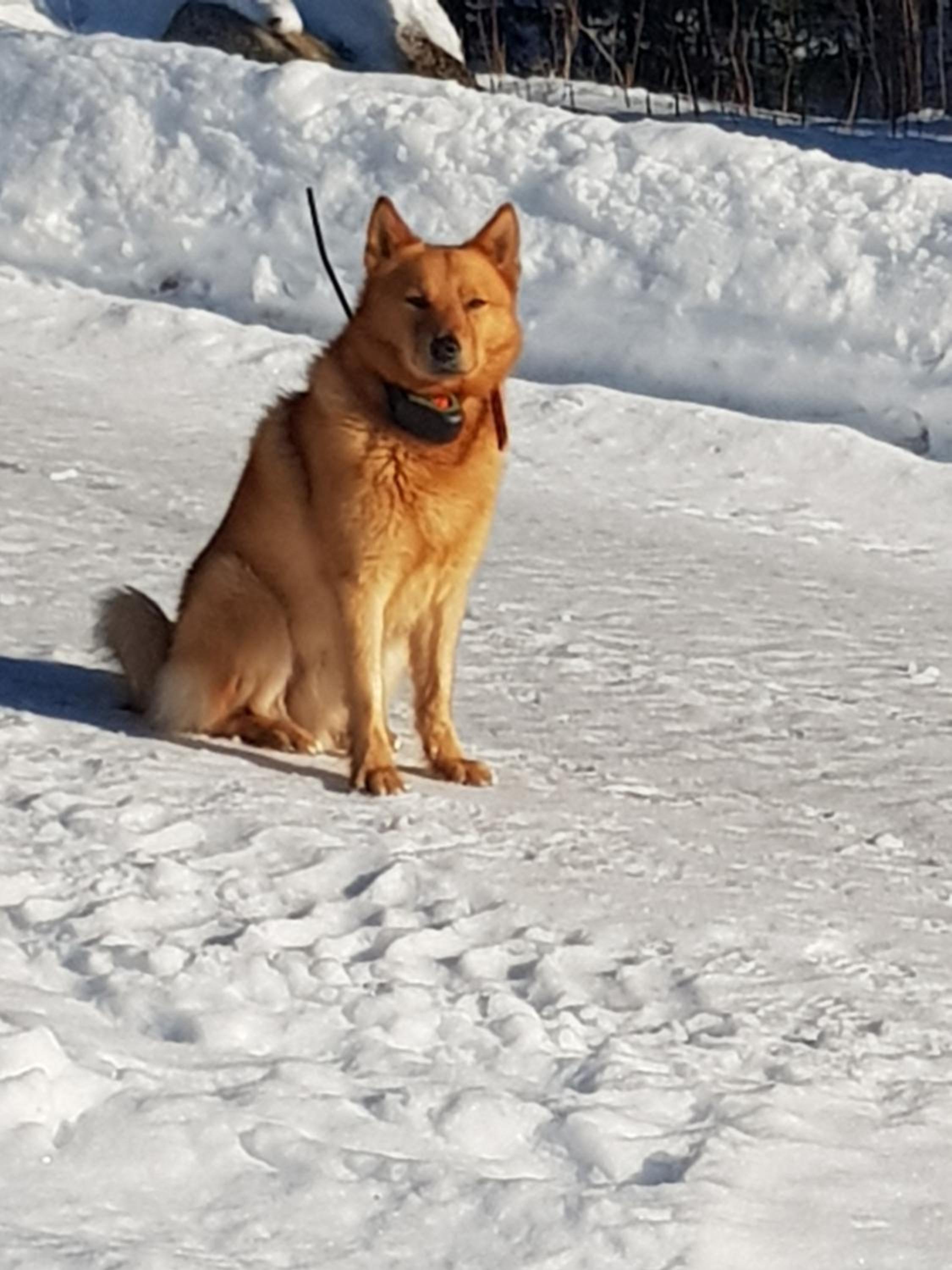 Rantala talo Keitele järven rannalla