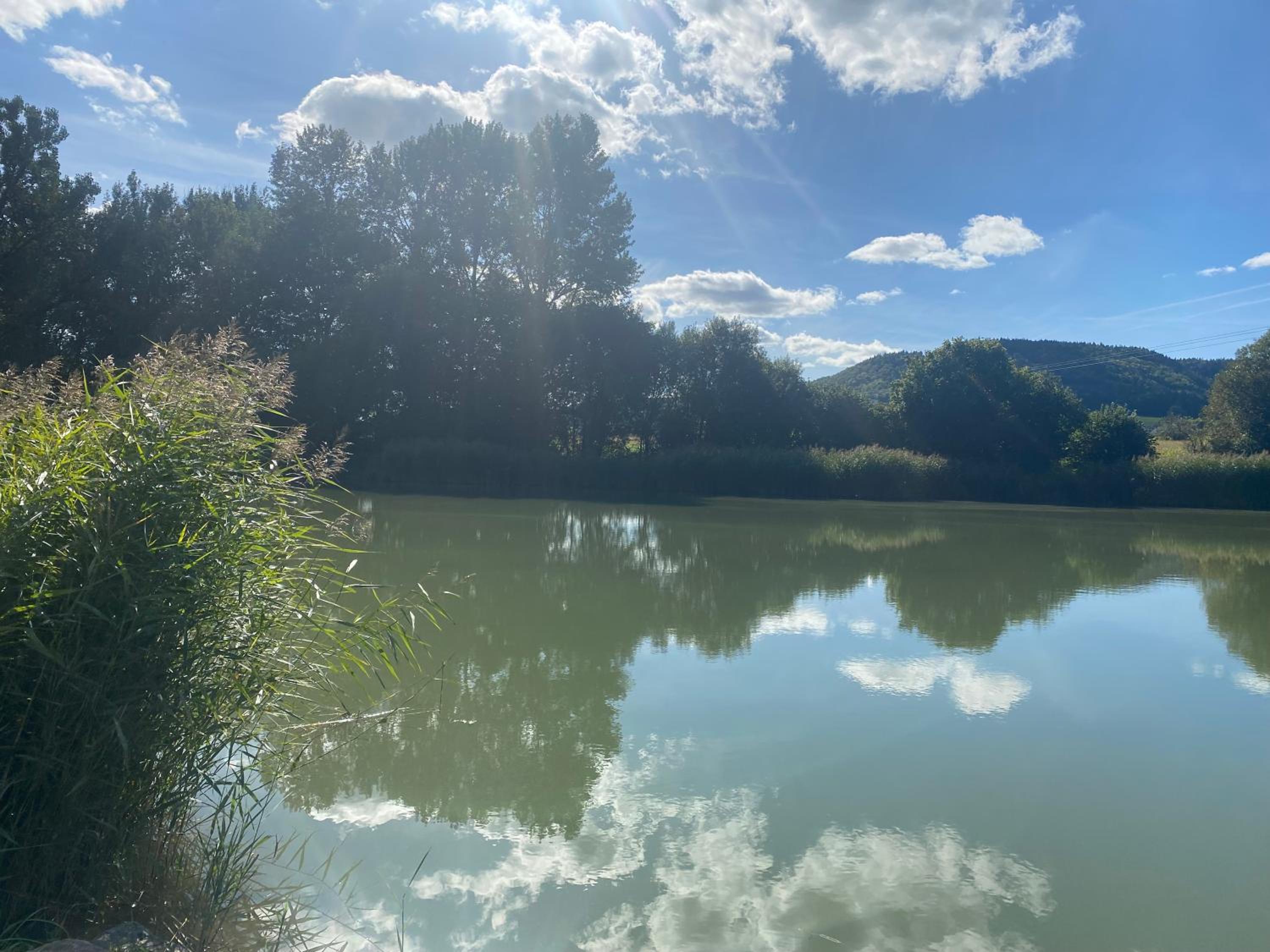fewo-turmblick-rottweil