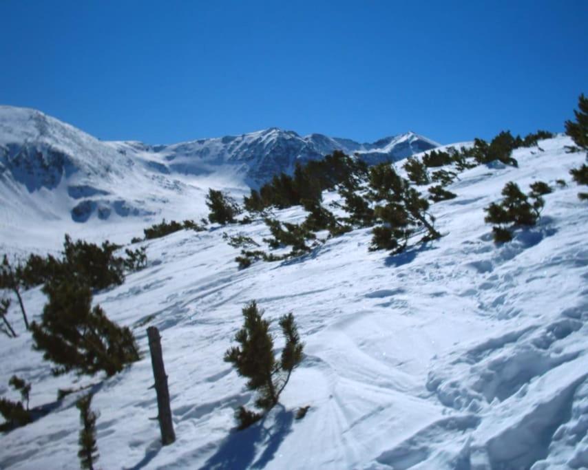 Ski liviomoritz at gma il com Chalet