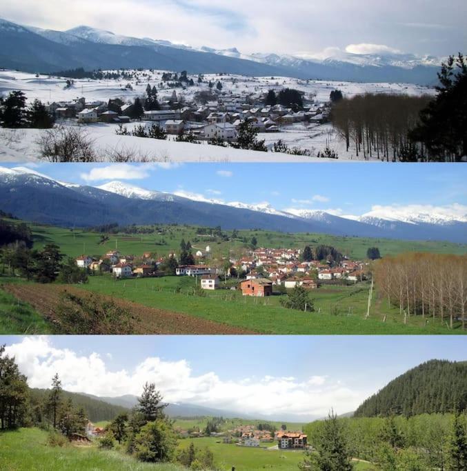 Ski liviomoritz at gma il com Chalet