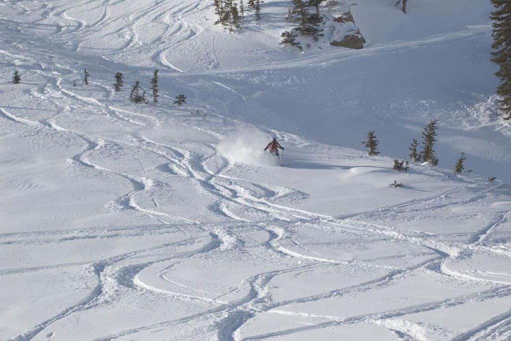 Ski liviomoritz at gma il com Chalet