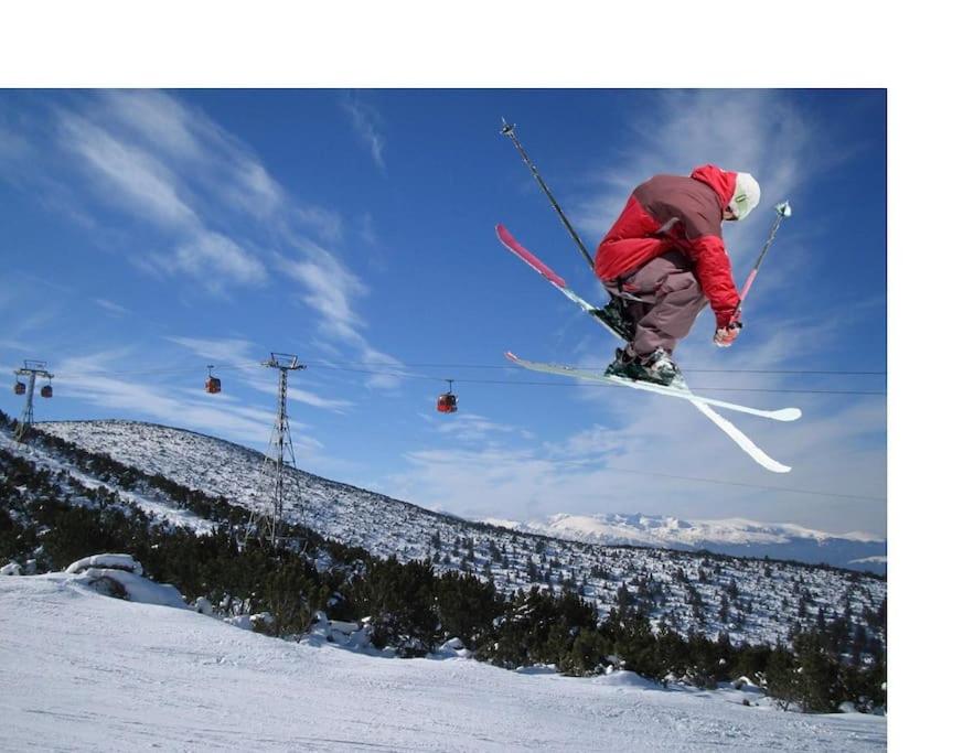 Ski liviomoritz at gma il com Chalet