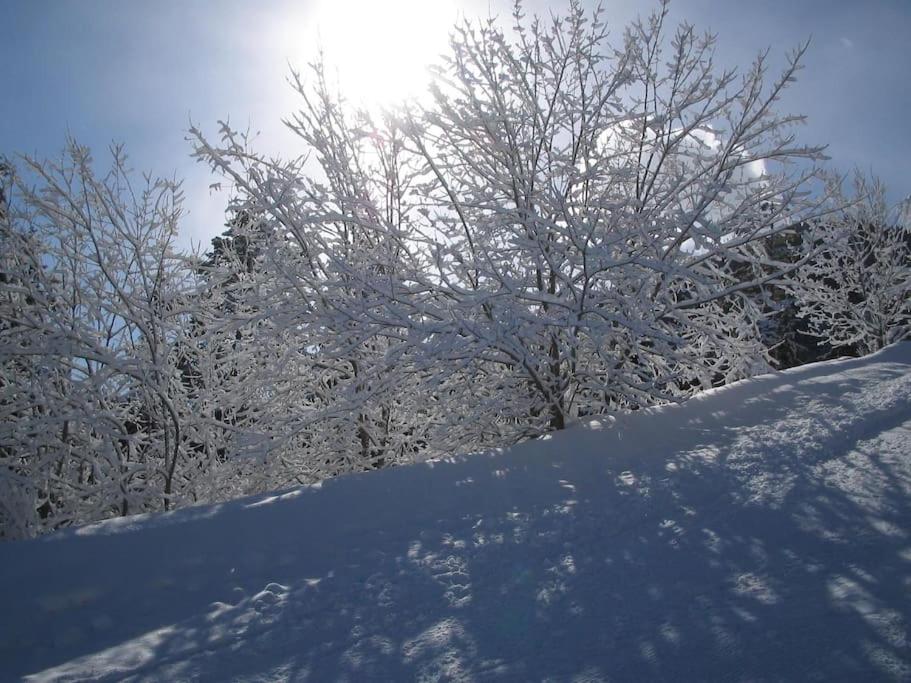 Ski liviomoritz at gma il com Chalet
