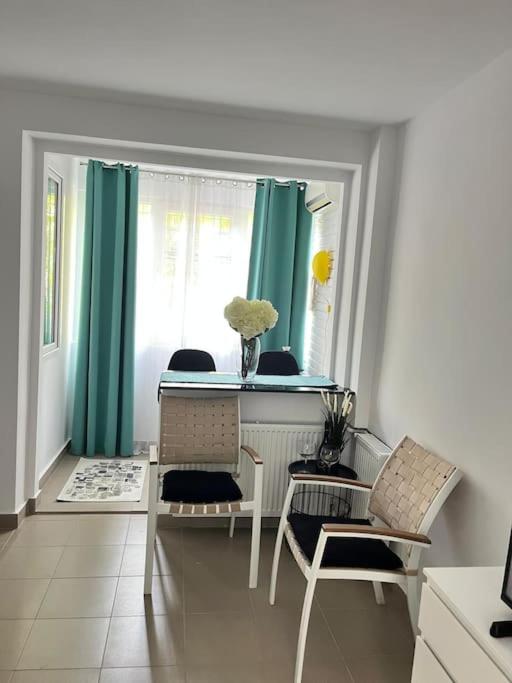 Studio spațios Plaza Mall, Park Drumul Taberei view 3