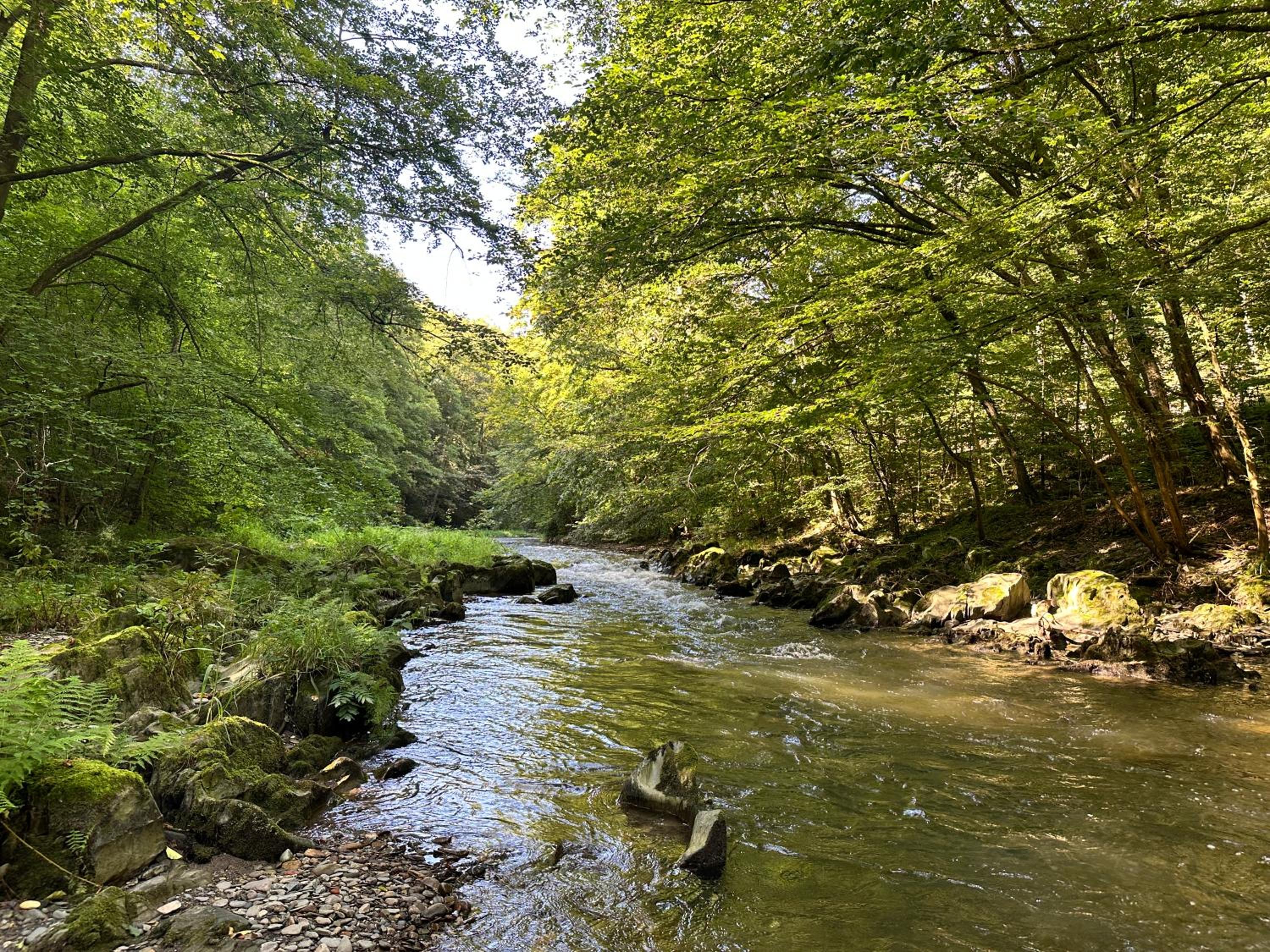FeWo Burgblick