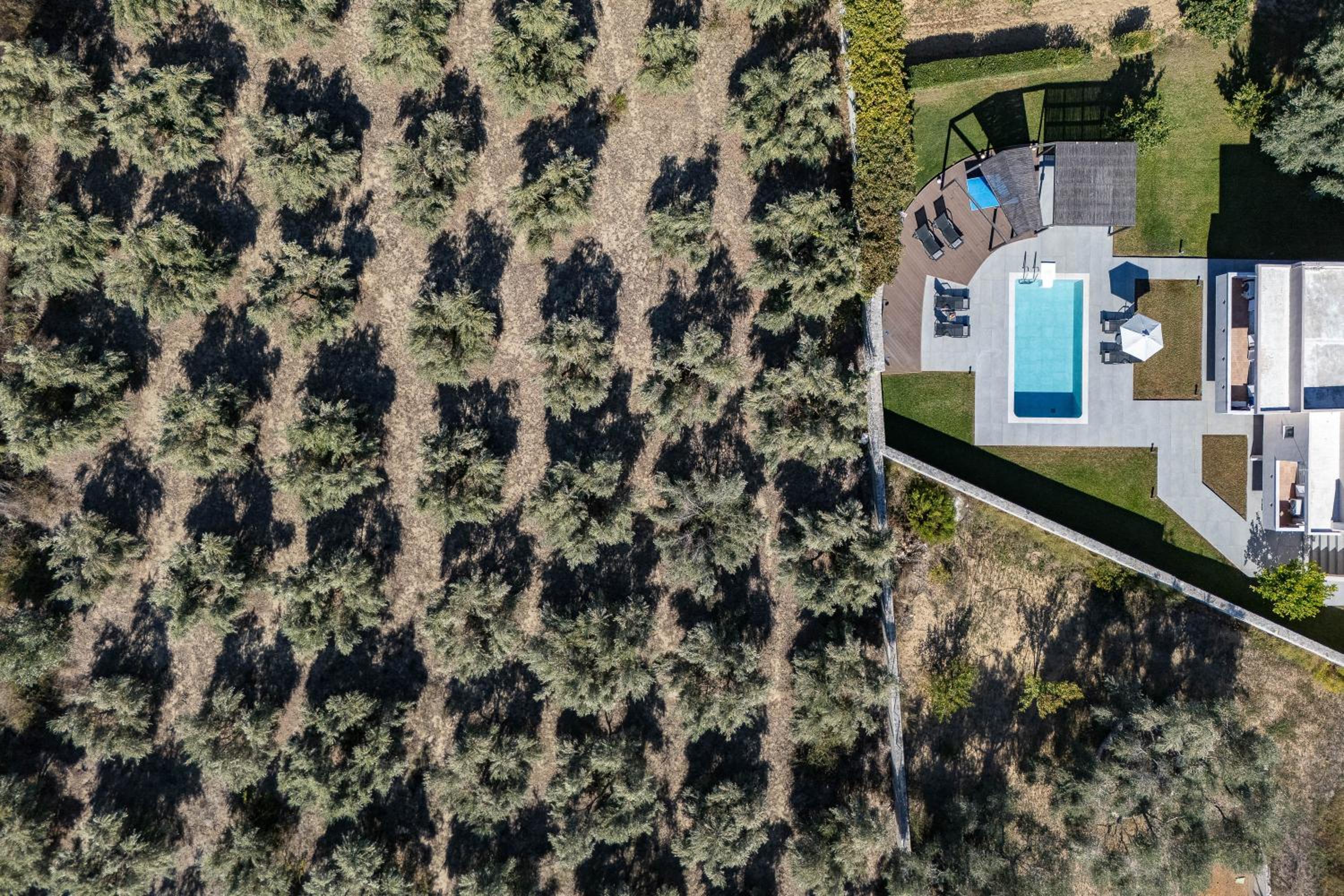 Villa Amalia