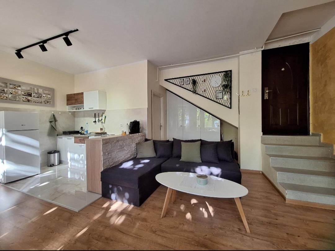 Hazelnut Apartment Novi Sad view 5