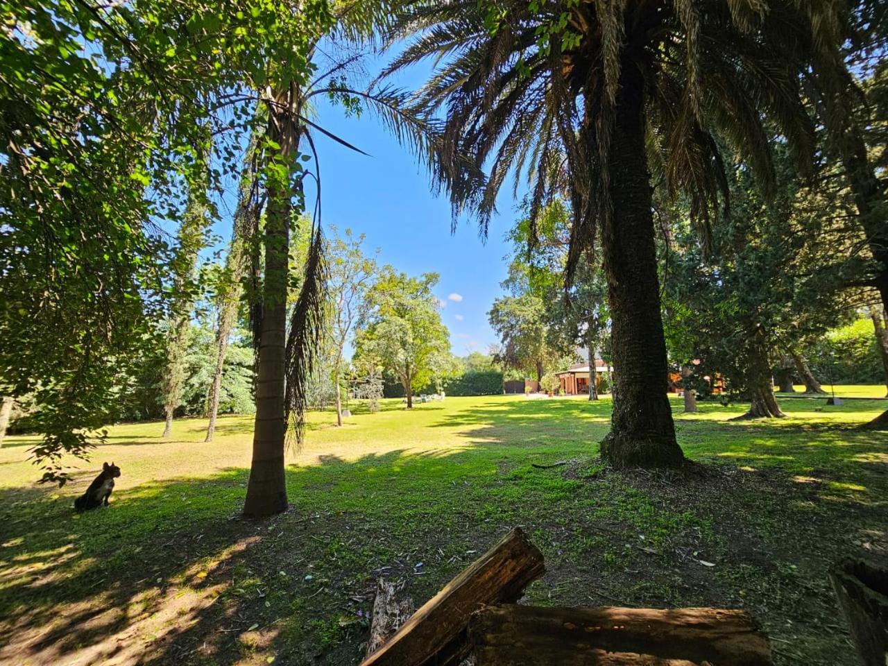Villa Arbolada