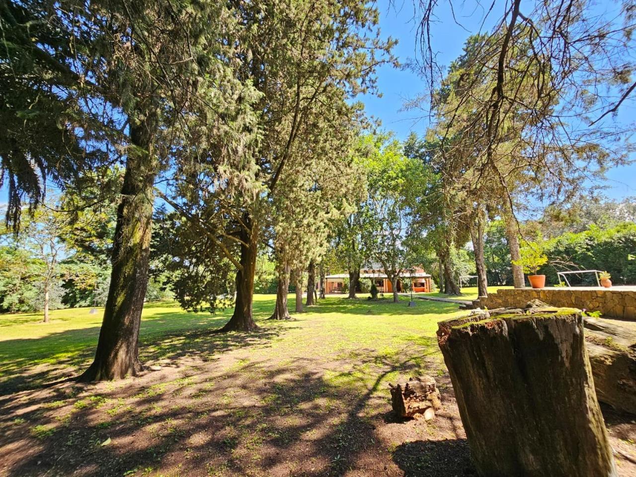 Villa Arbolada