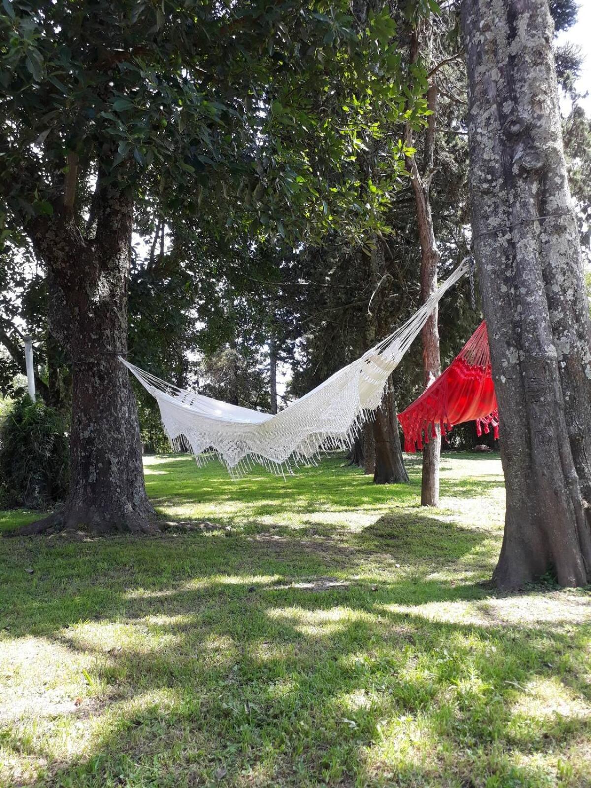 Villa Arbolada