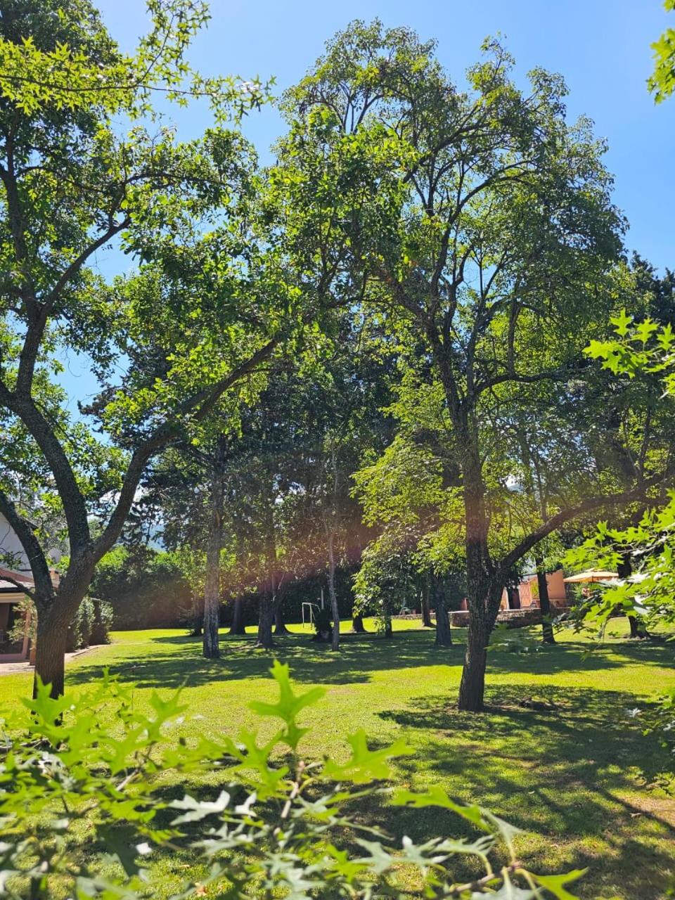Villa Arbolada