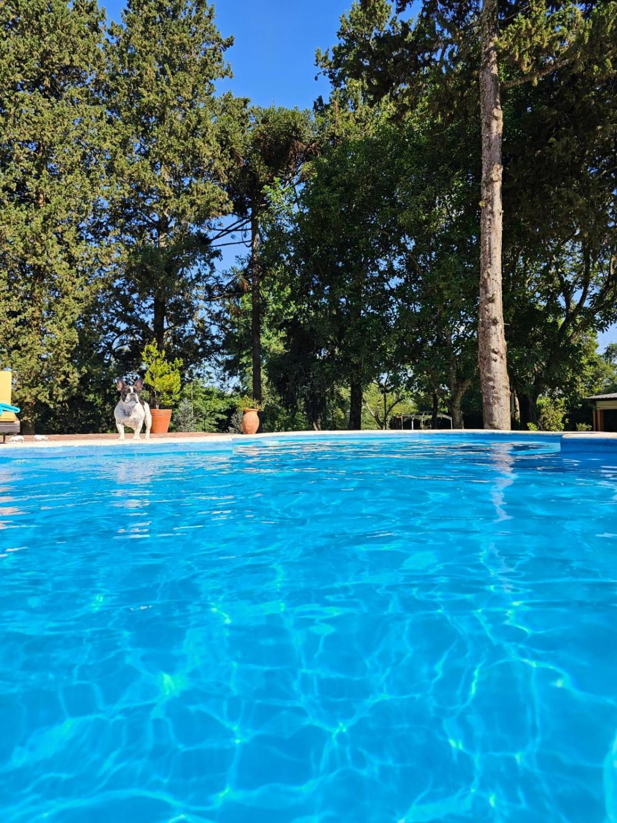 Villa Arbolada