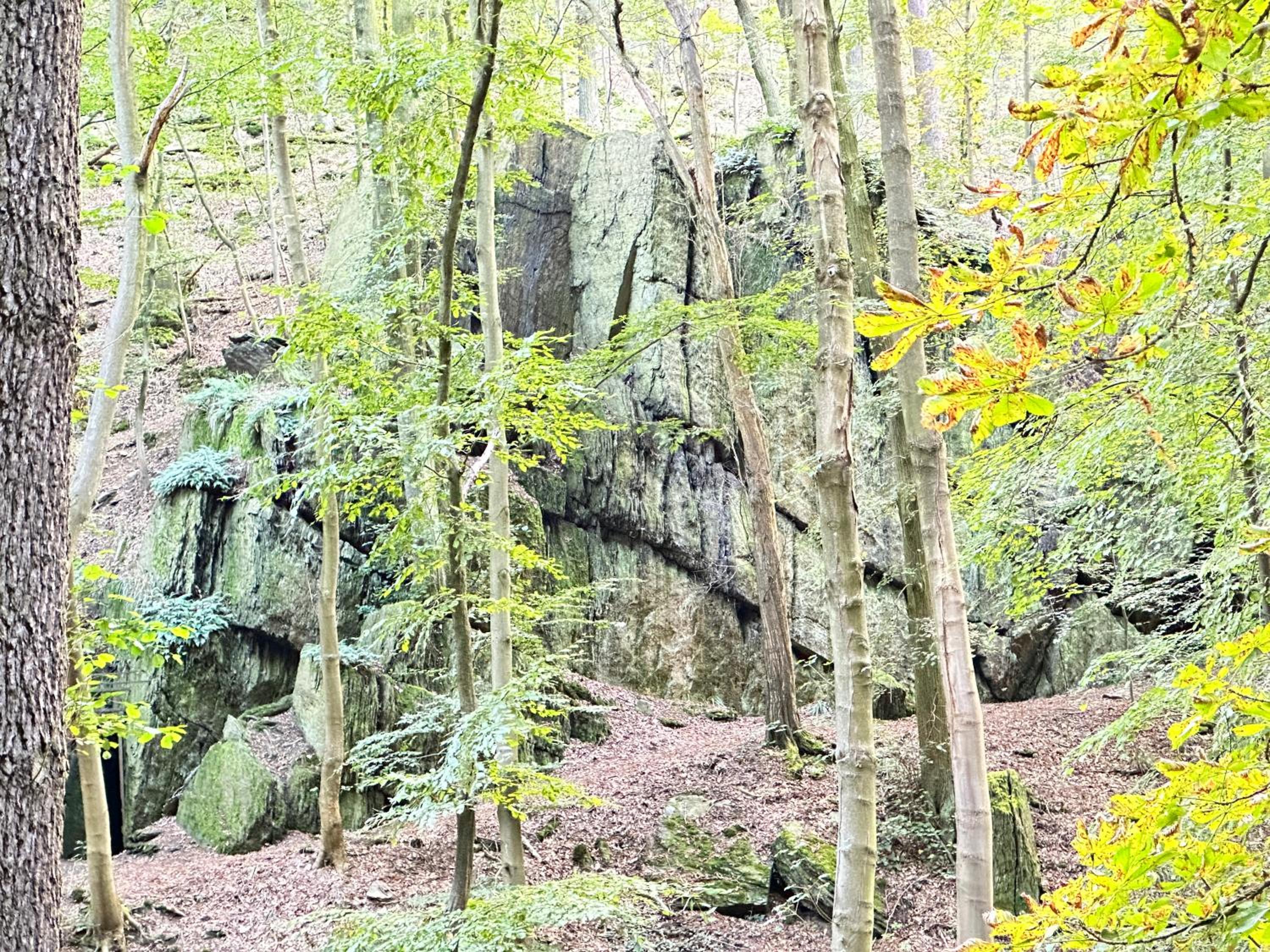FeWo Burgblick