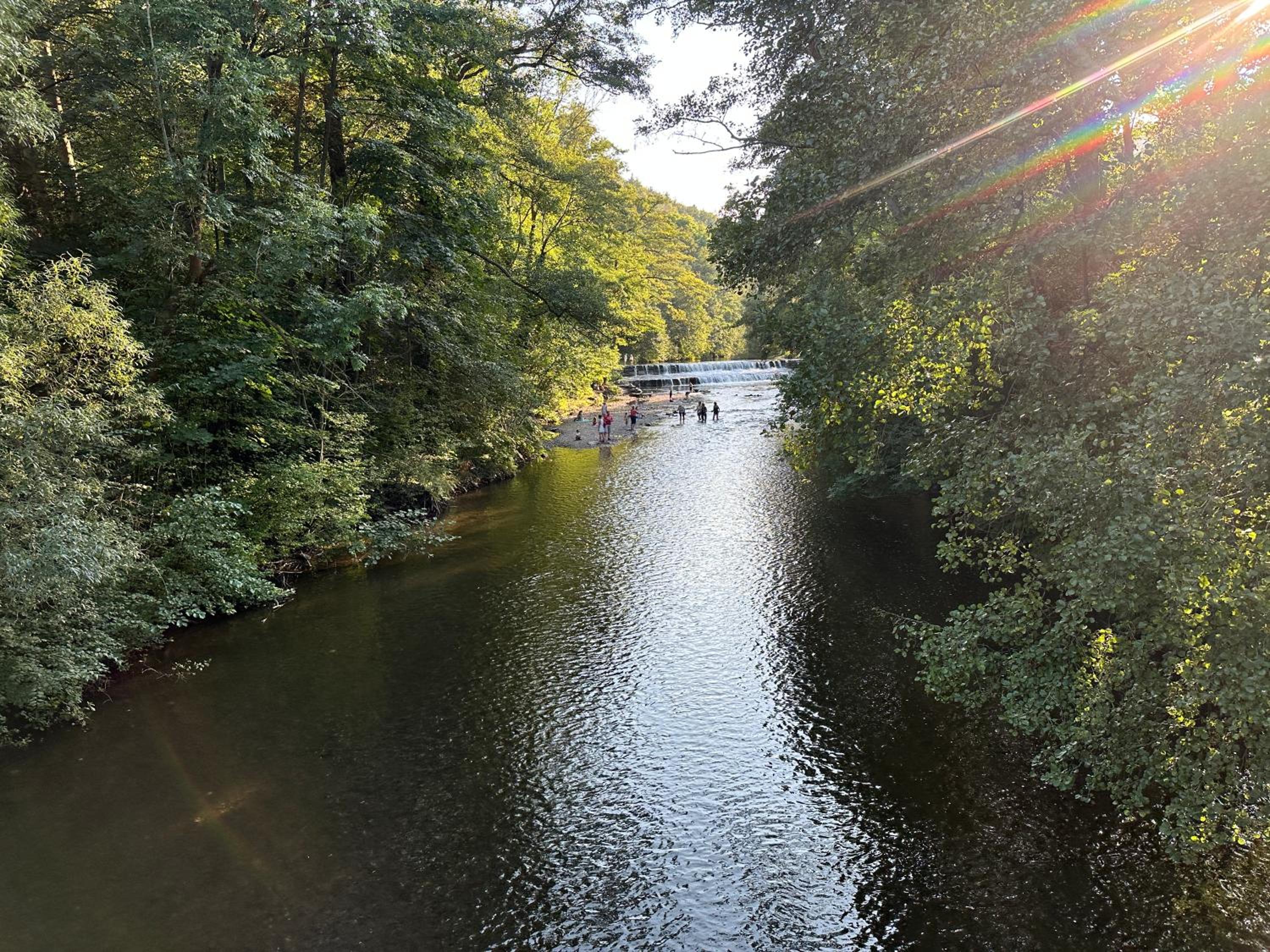 FeWo Burgblick