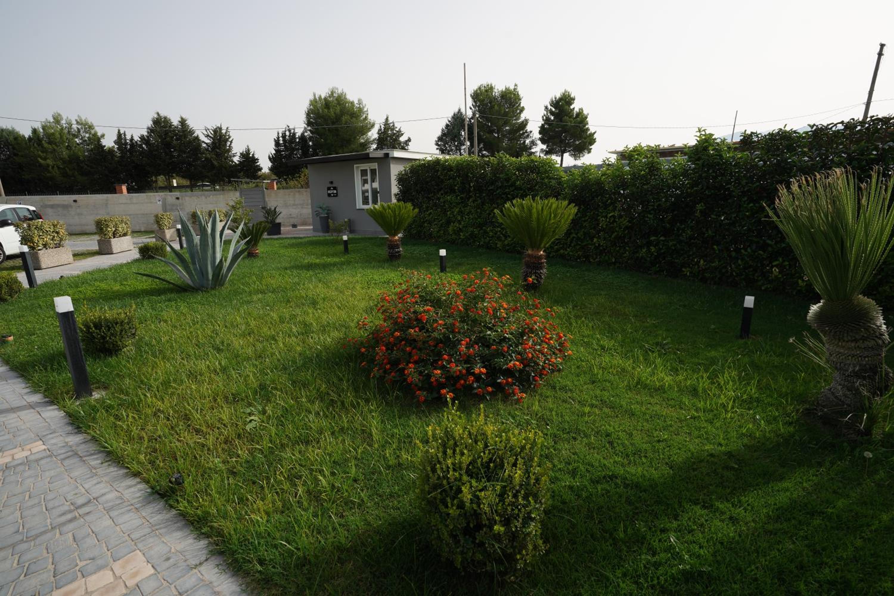 Photo 66