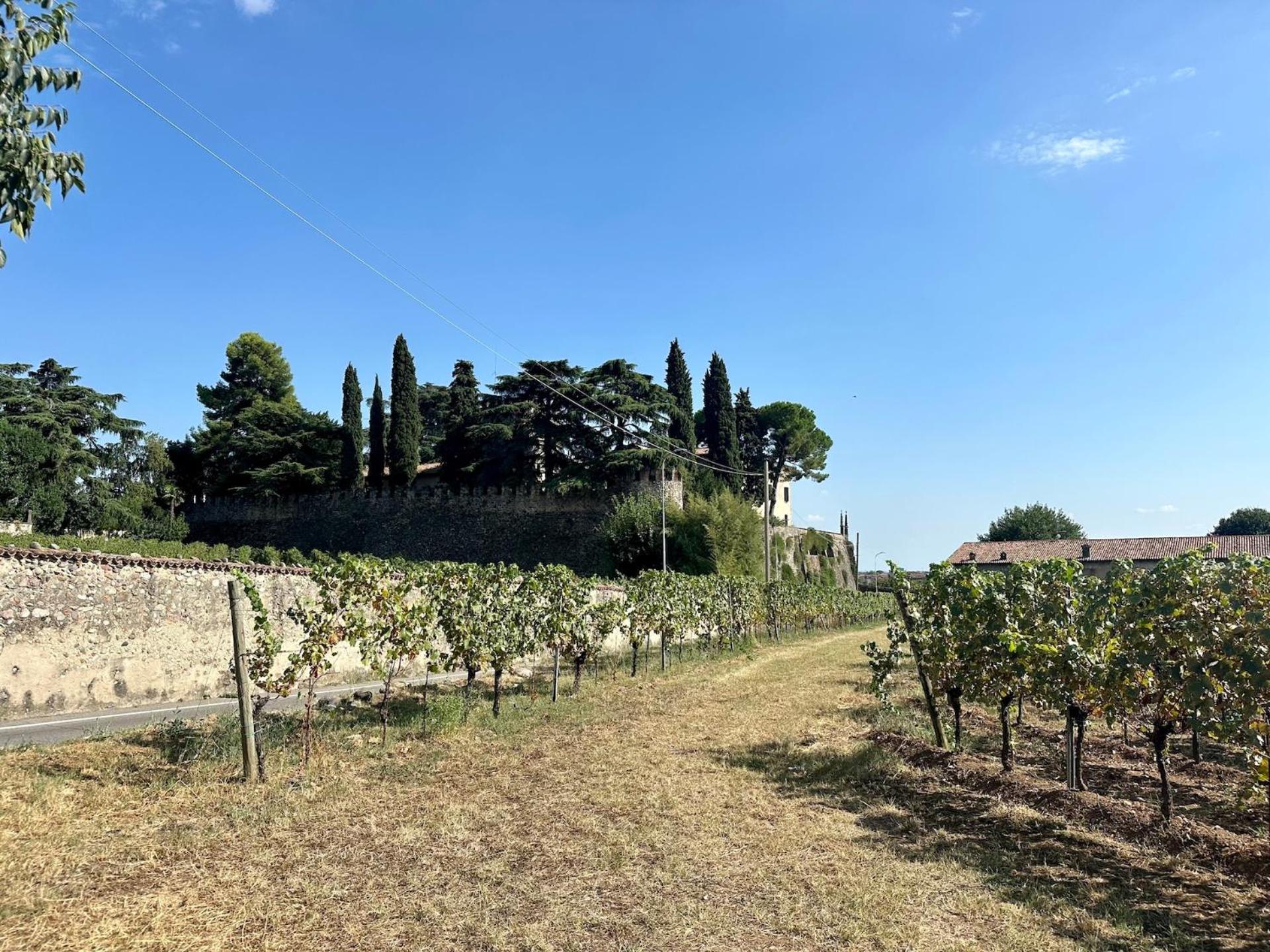 B&Bike Franciacorta view 3