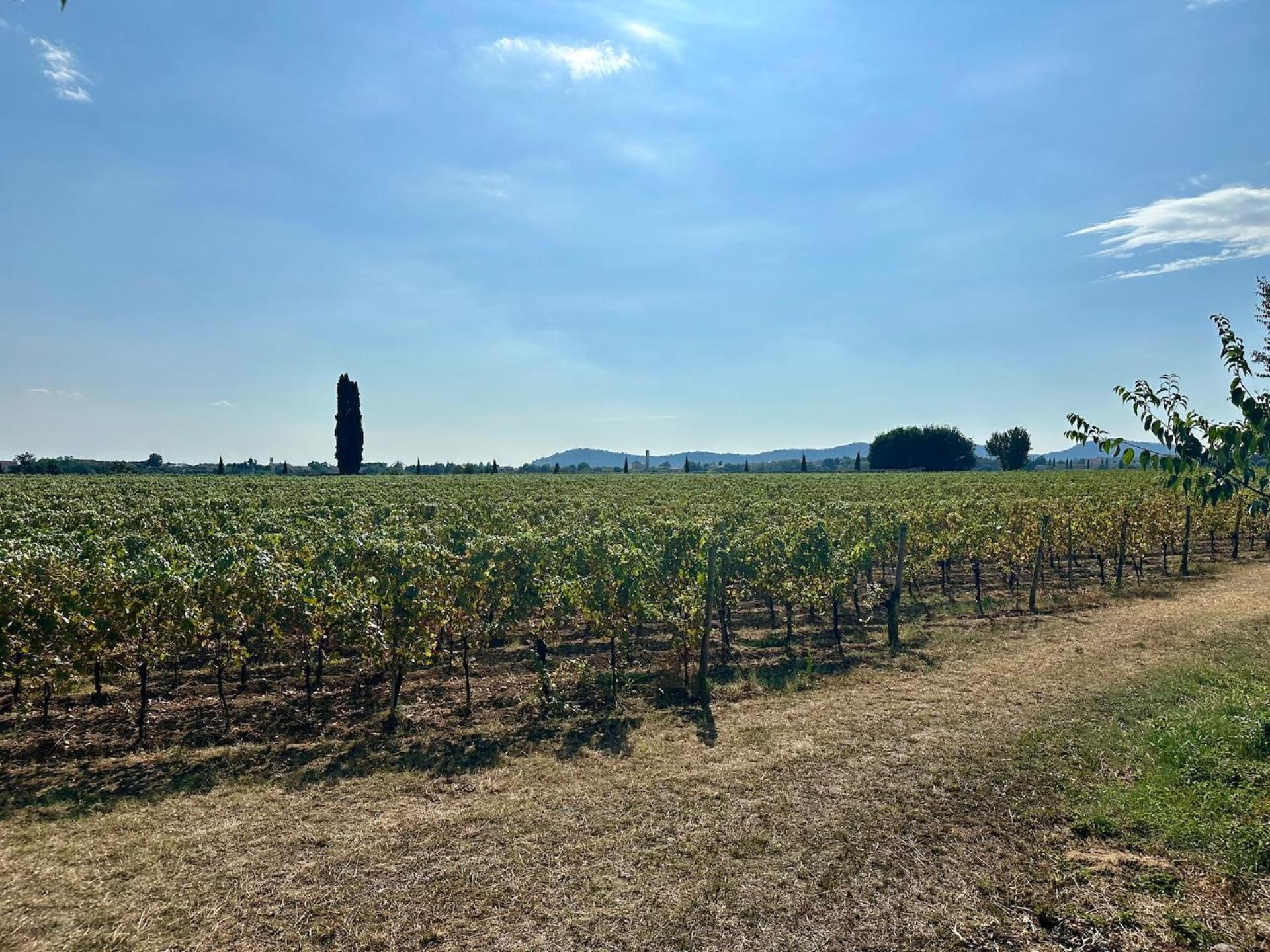 B&Bike Franciacorta view 5
