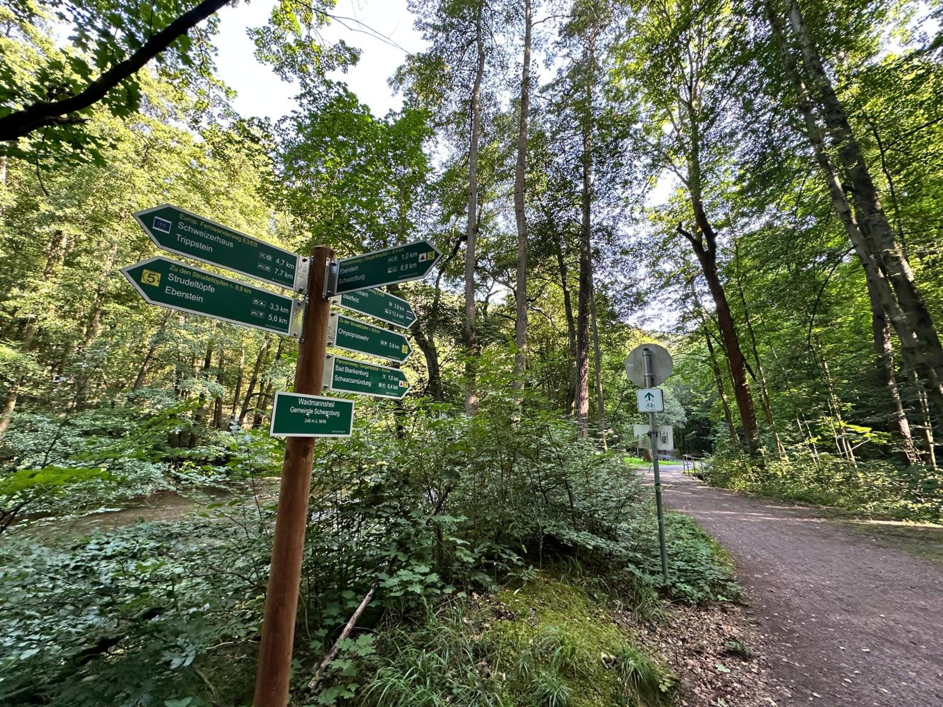 FeWo Burgblick