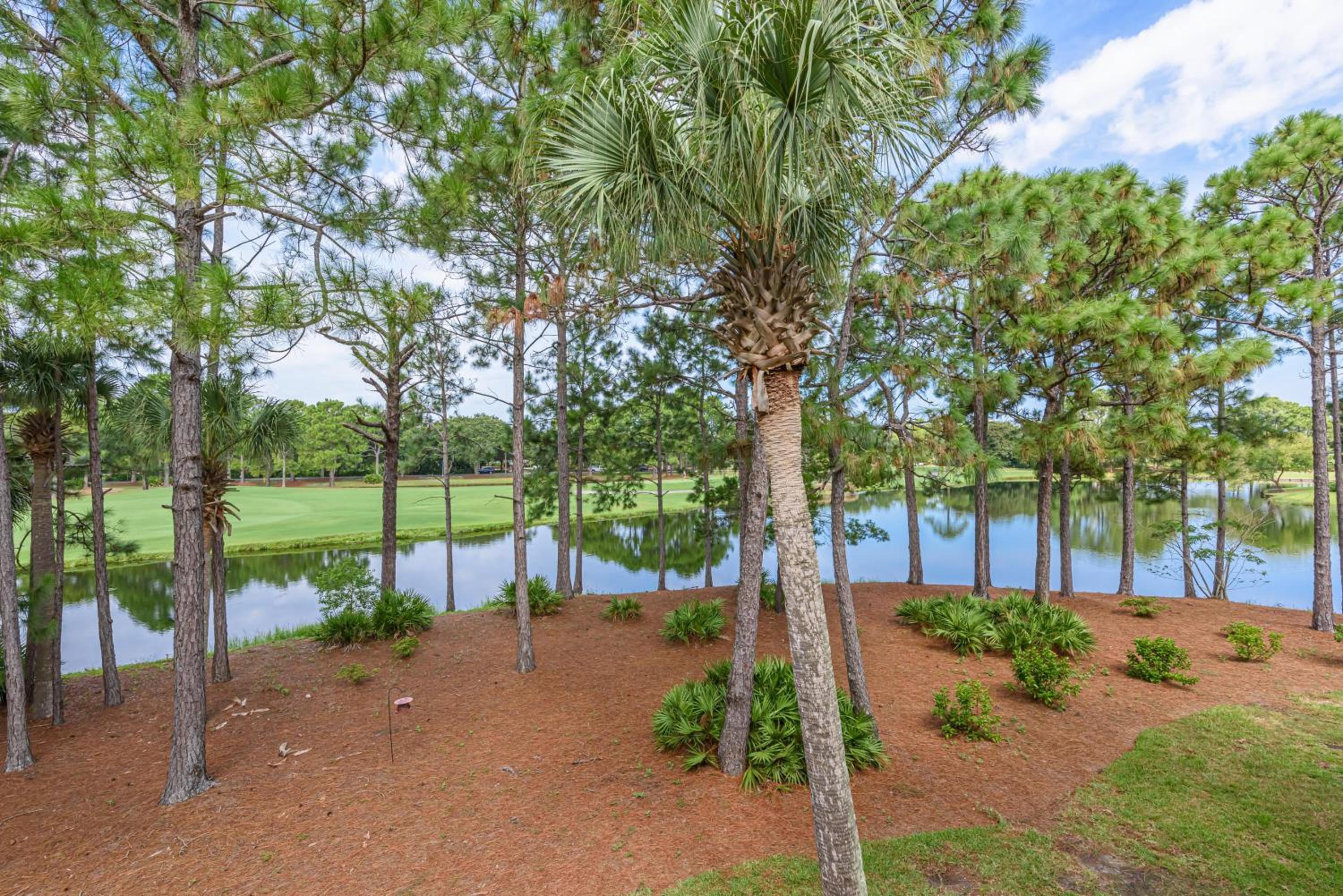 Turnberry 8519 view 3