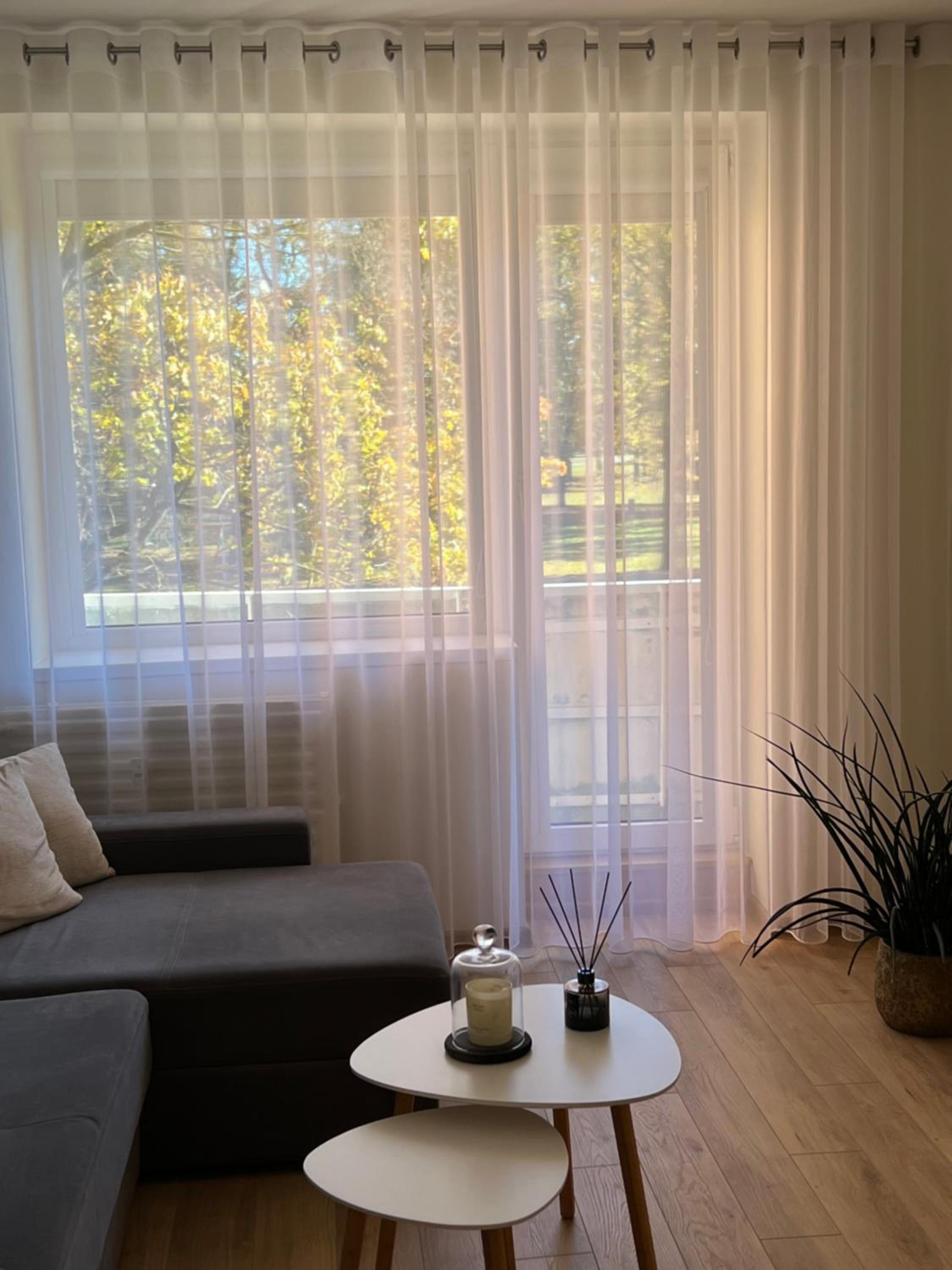 Apartamentai miesto centre view 5