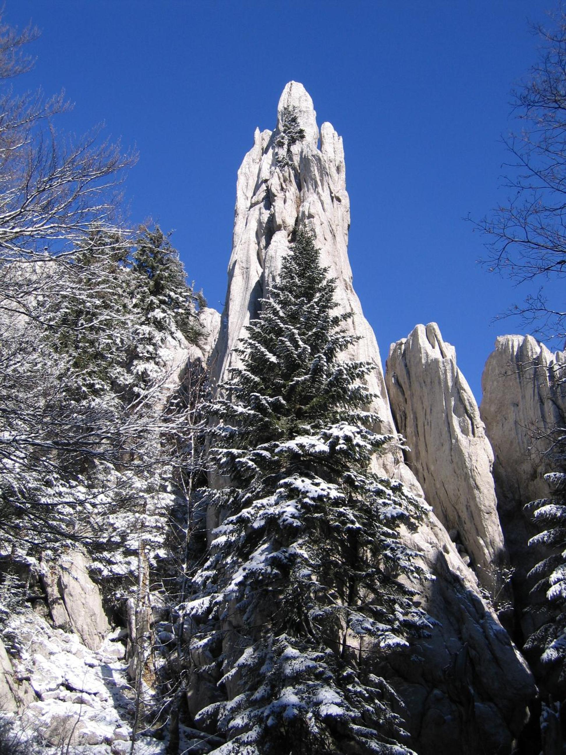 Photo 48