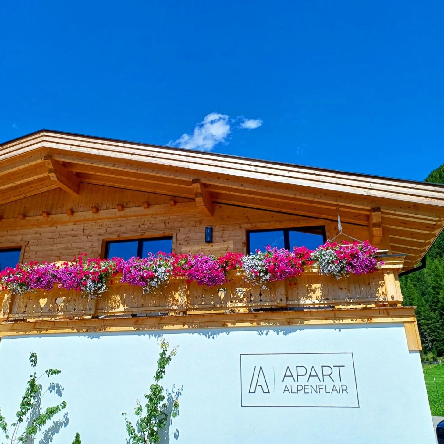 Apart Alpenflair view 2