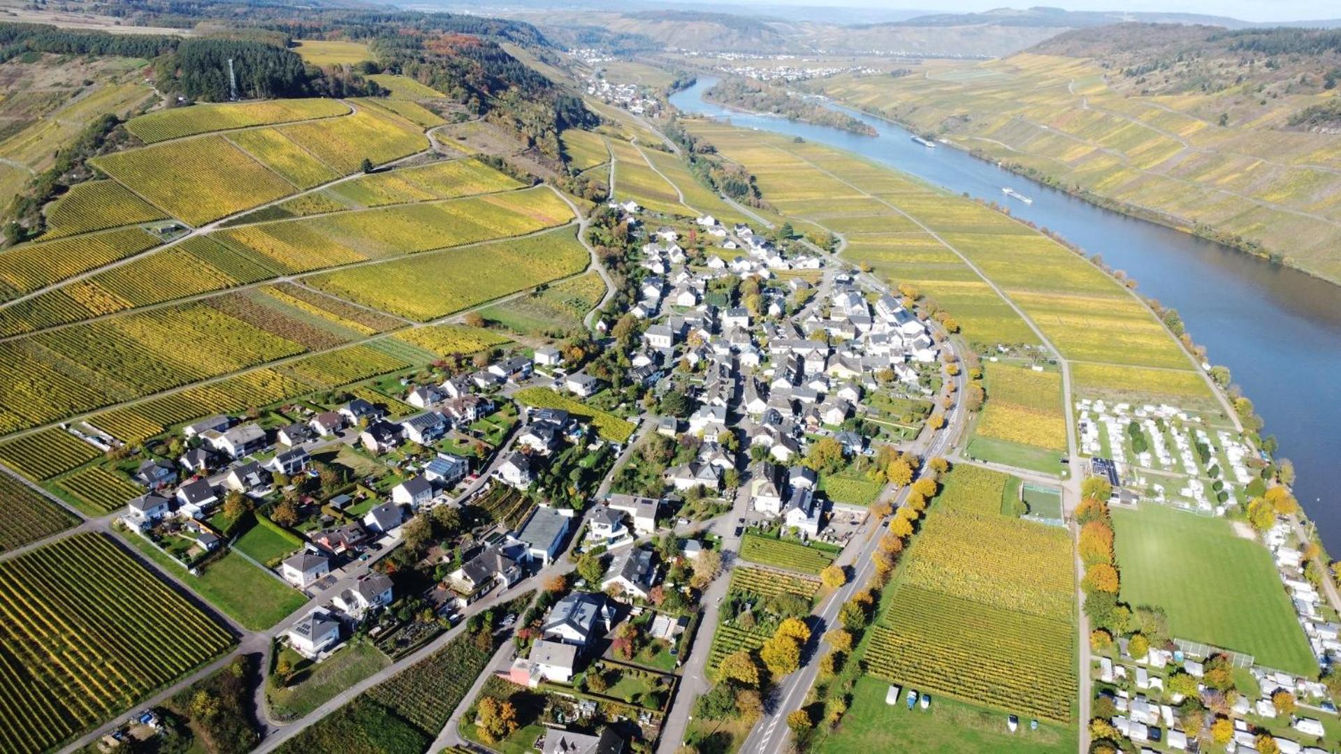 Moselglück