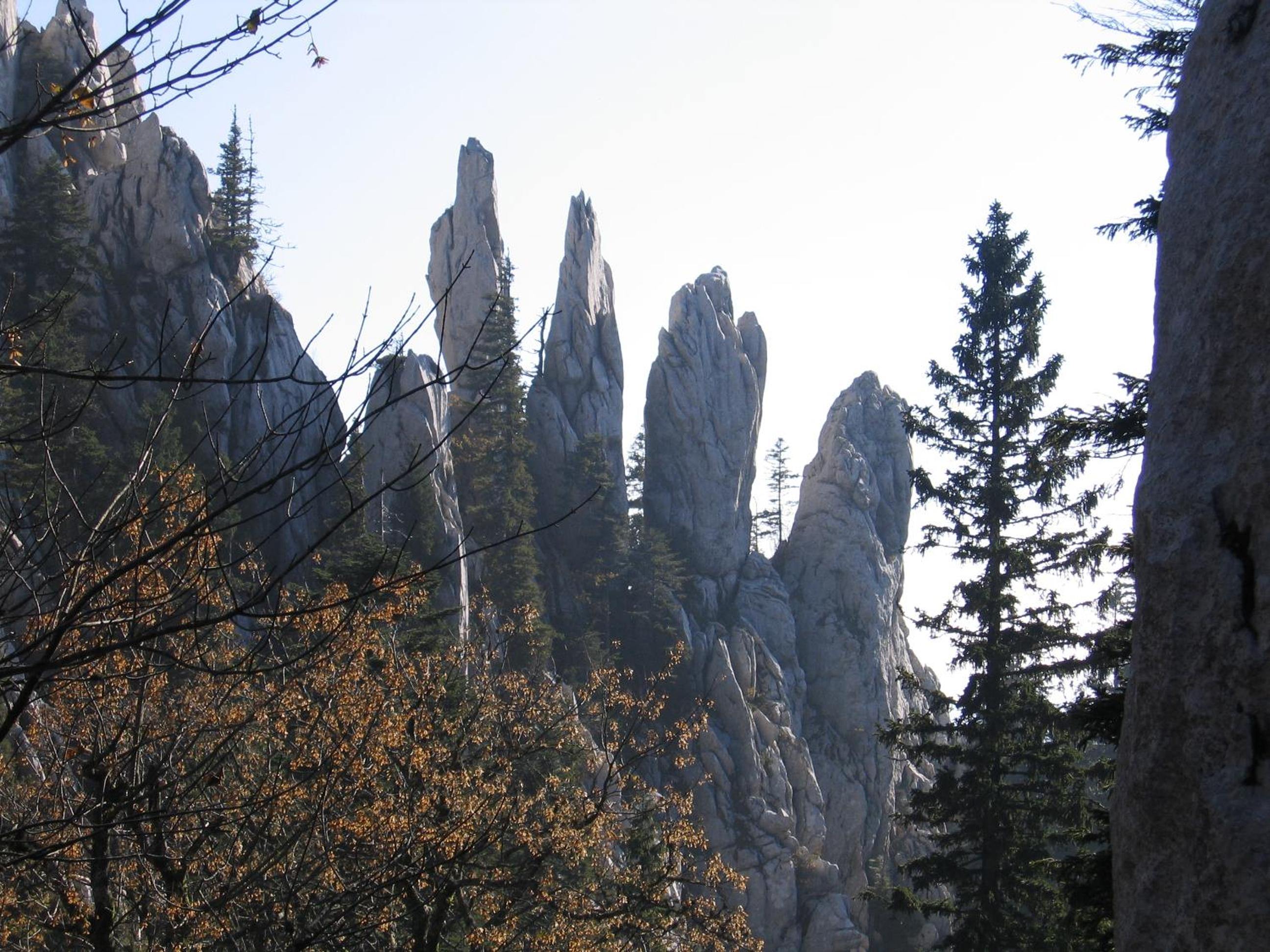 Photo 47