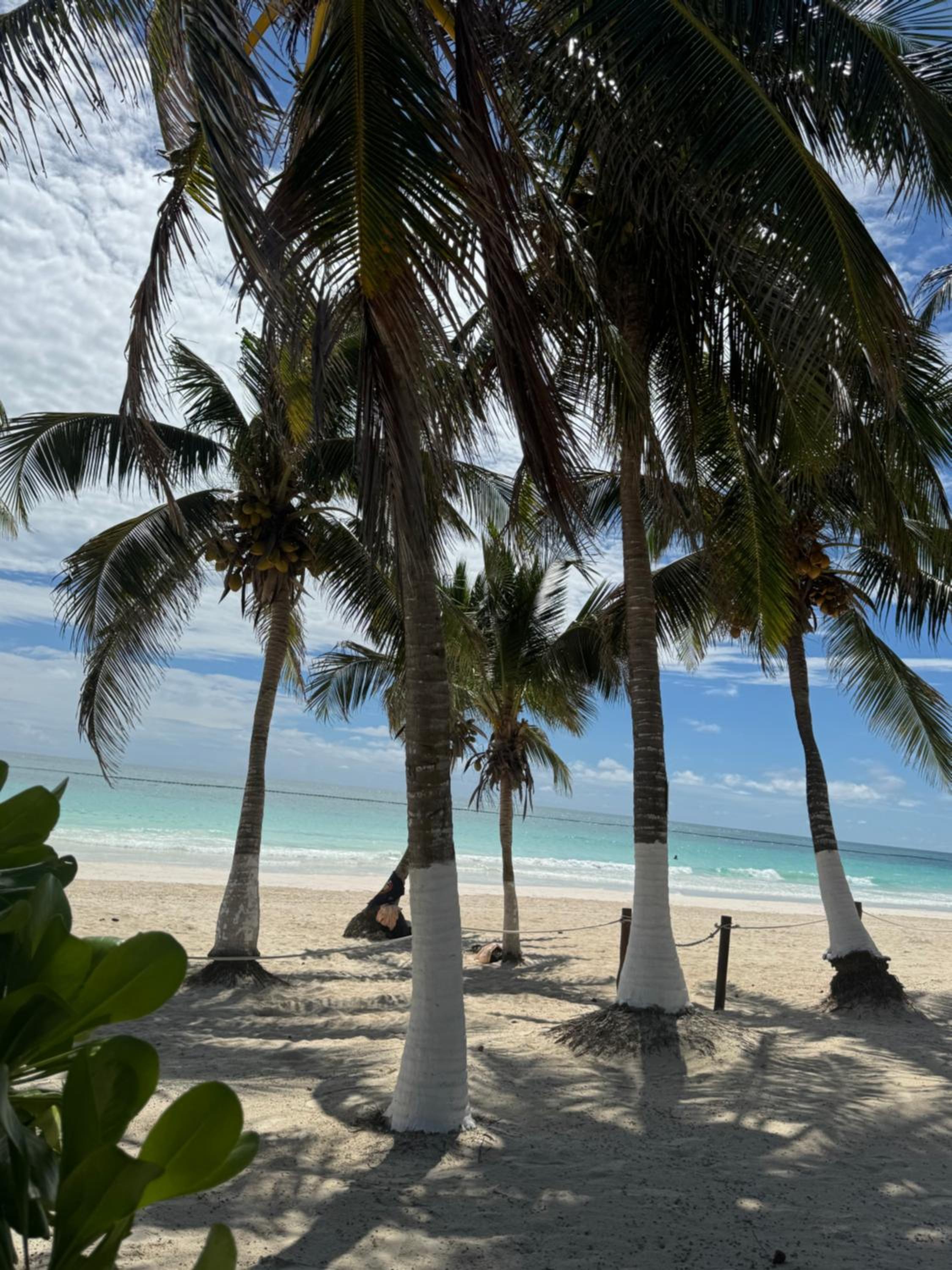 El Paraiso Hotel Tulum - Property Image 61