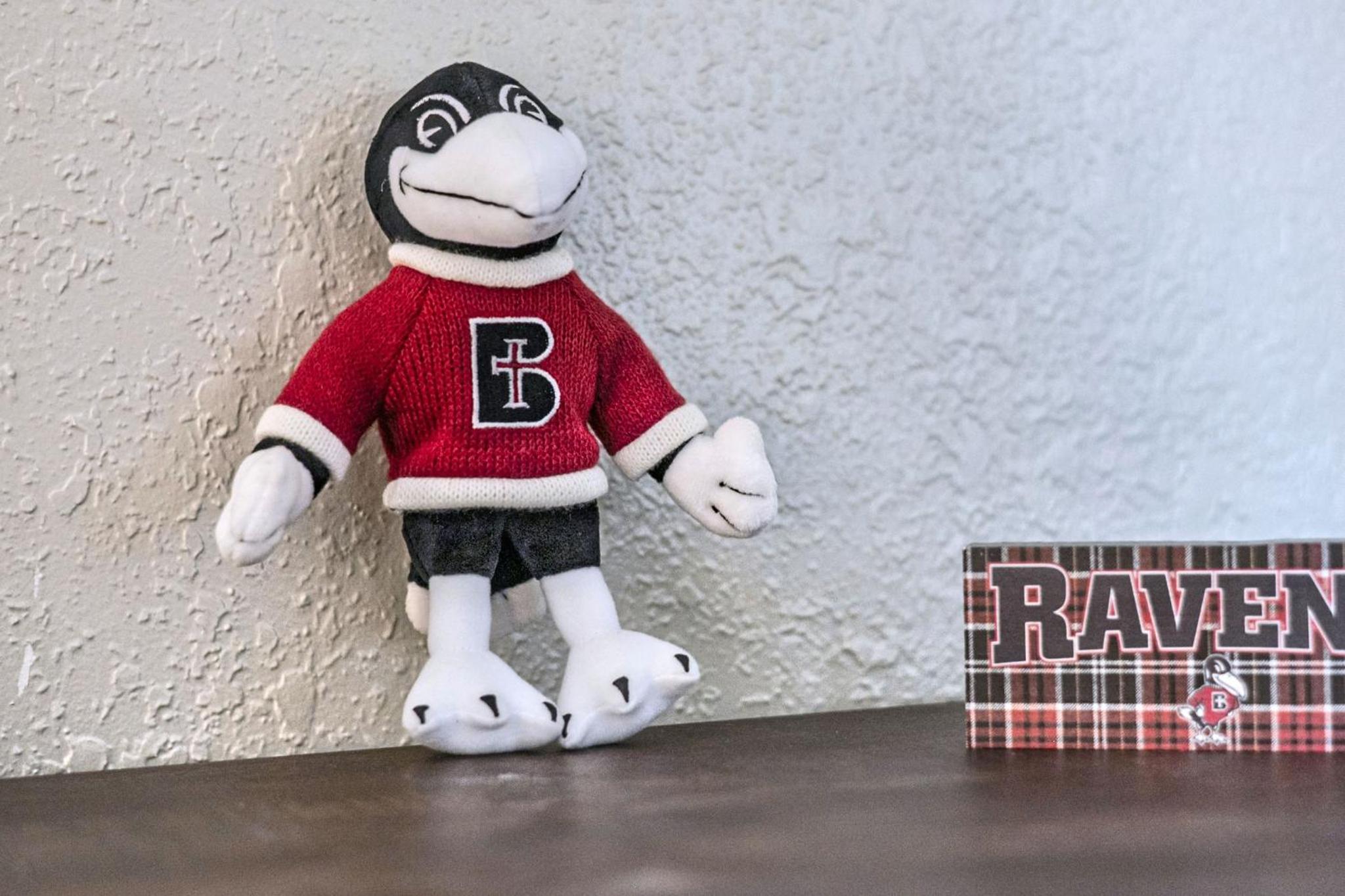 Awesome Benedictine Theme and In Your Budget!