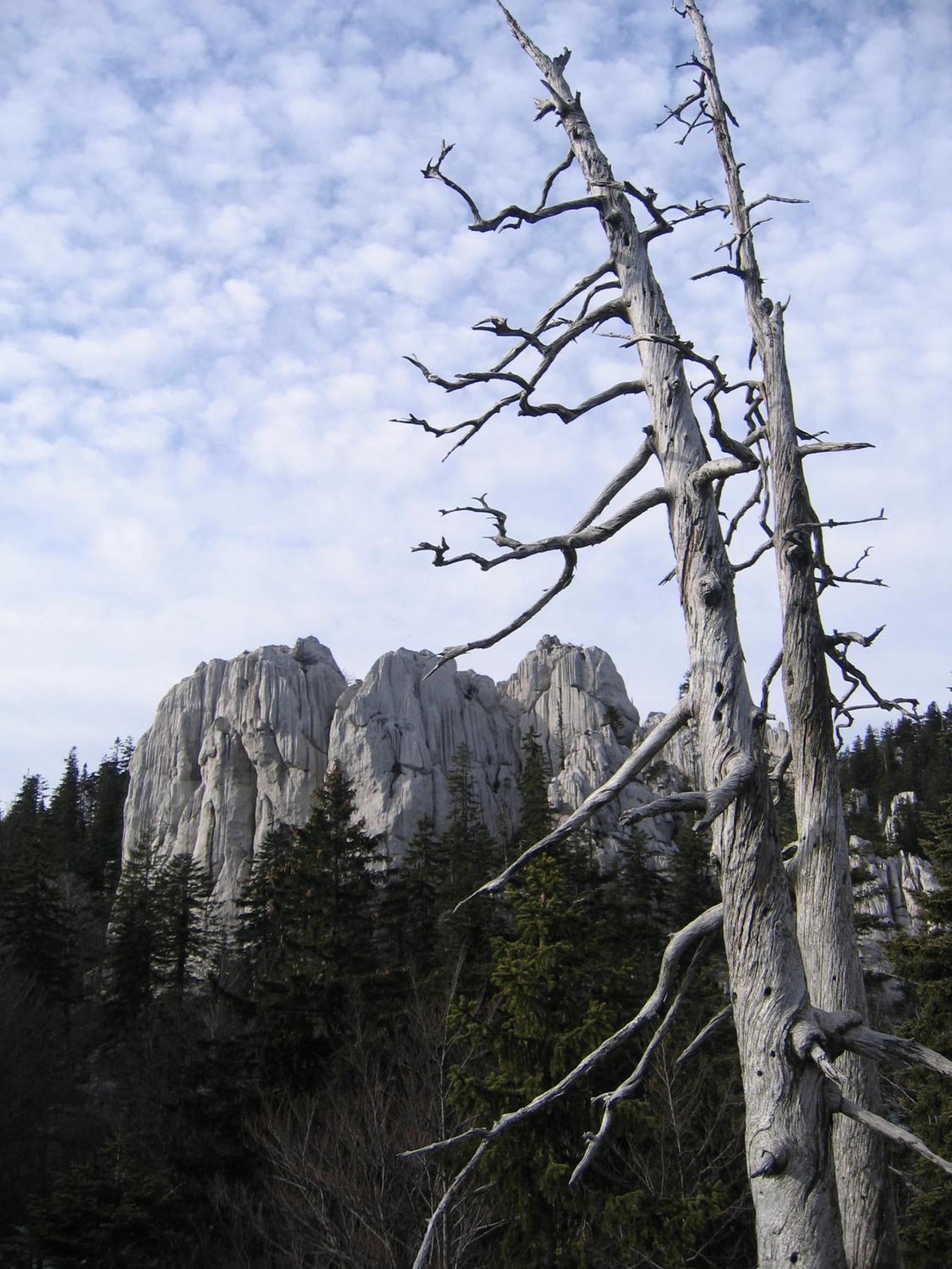 Photo 45