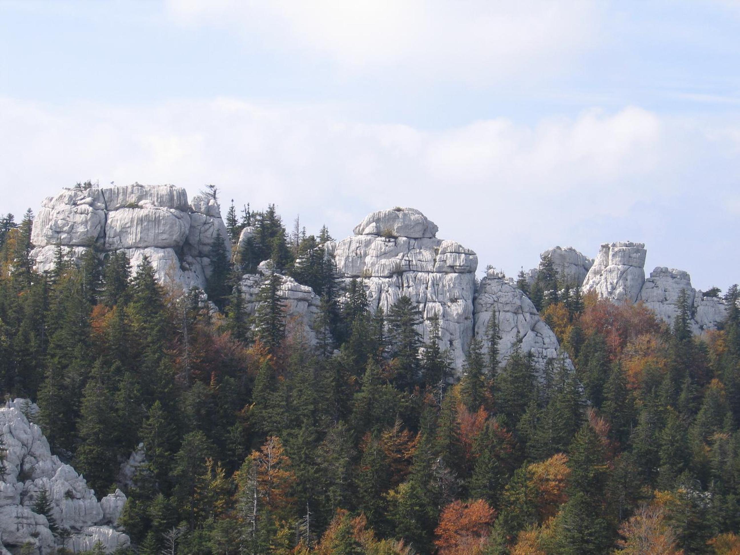 Photo 46