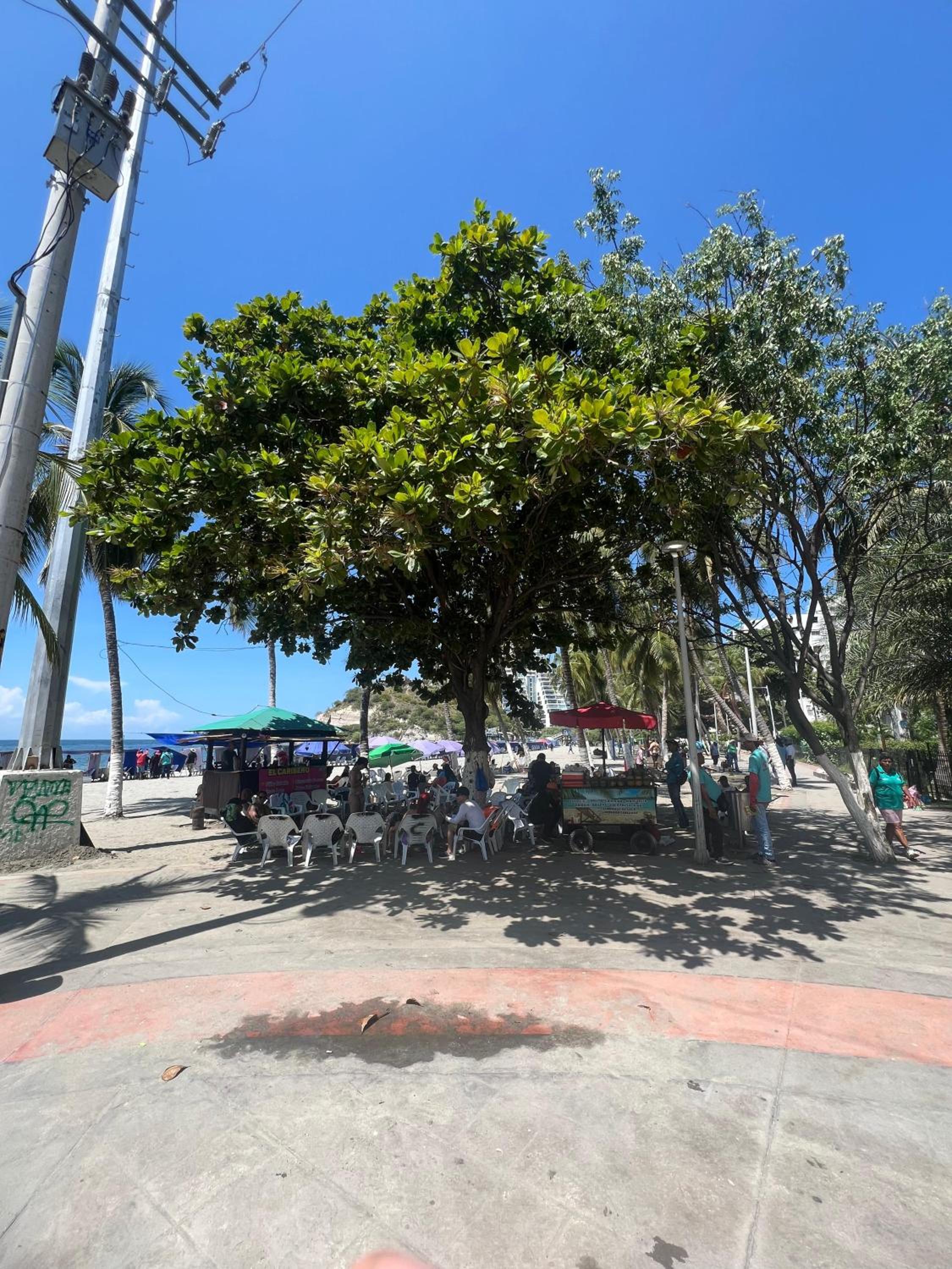 Casa Carolina
