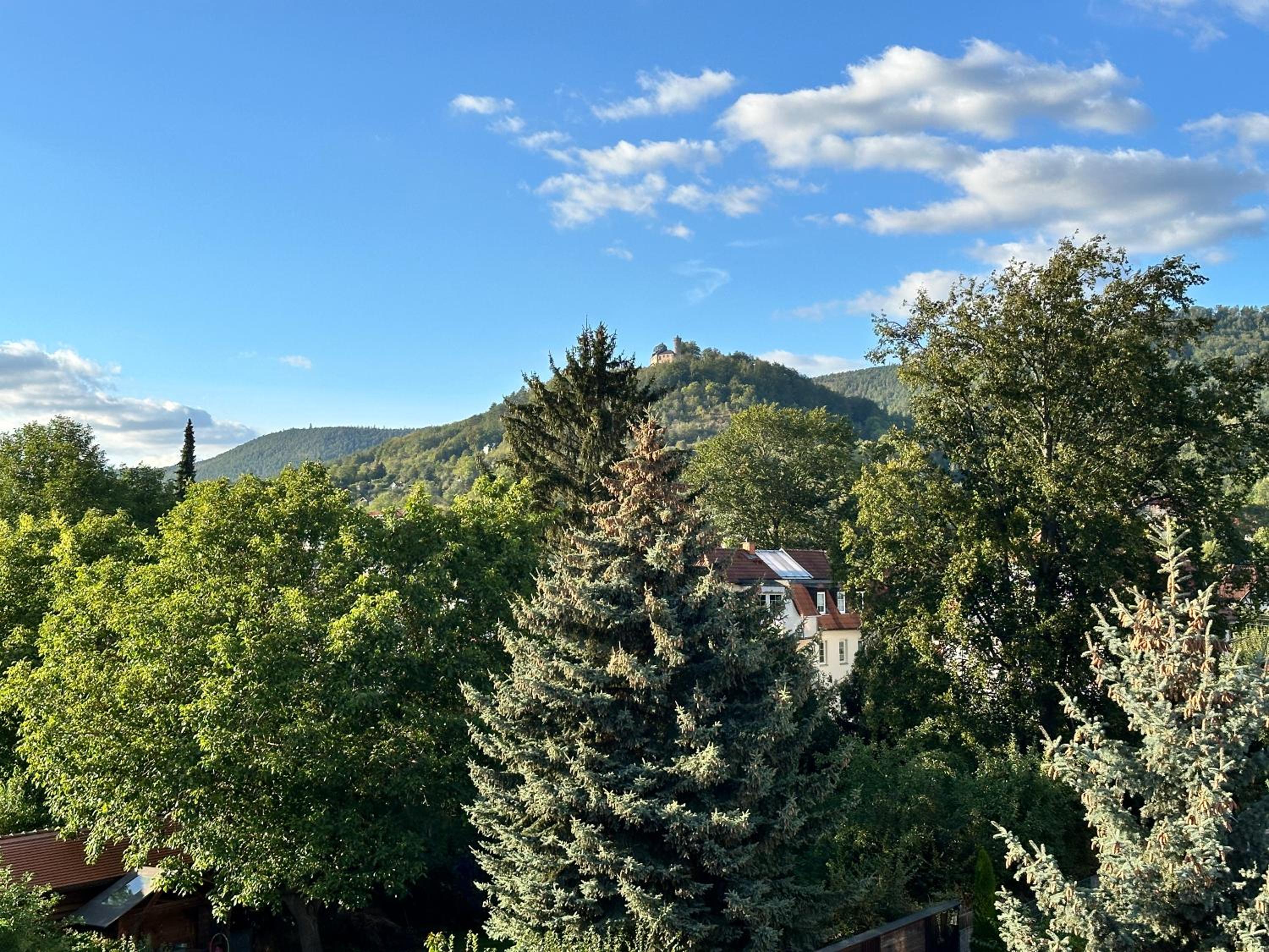 FeWo Burgblick