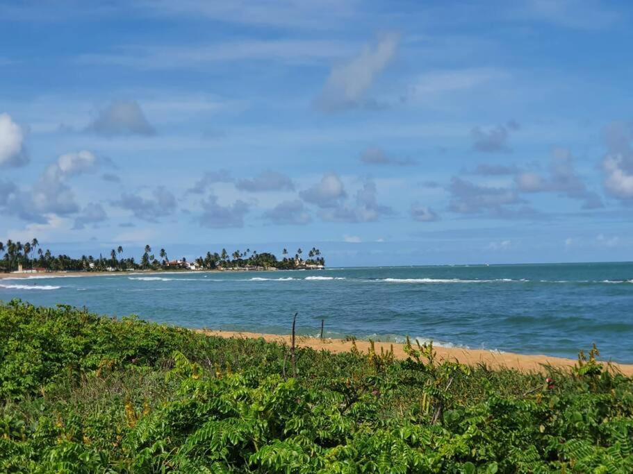 Portais do Sonho Verde - Corais do Sonho Verde