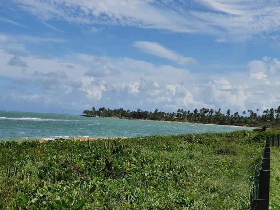 Portais do Sonho Verde - Corais do Sonho Verde