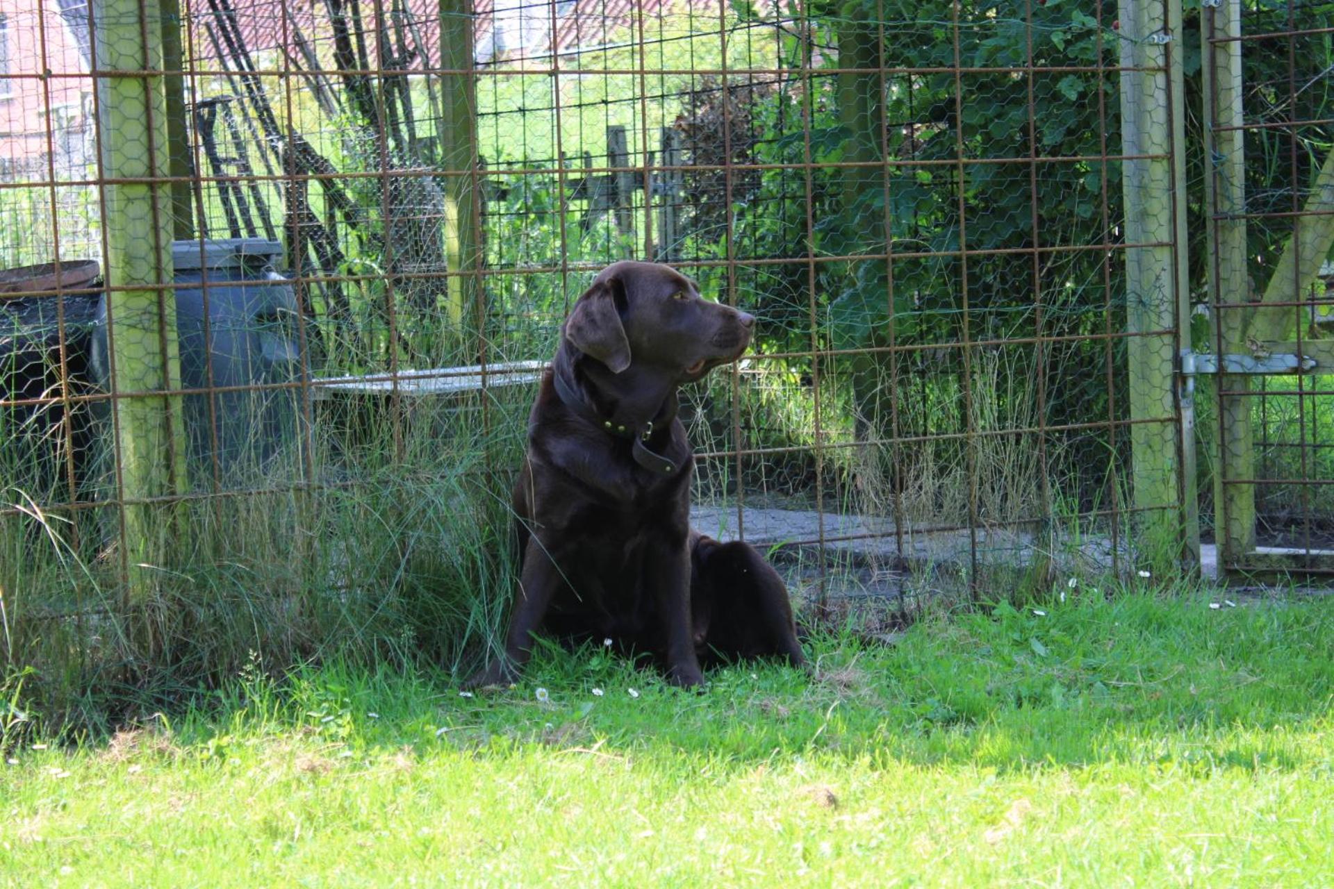 Sejersminde Bed and Breakfast