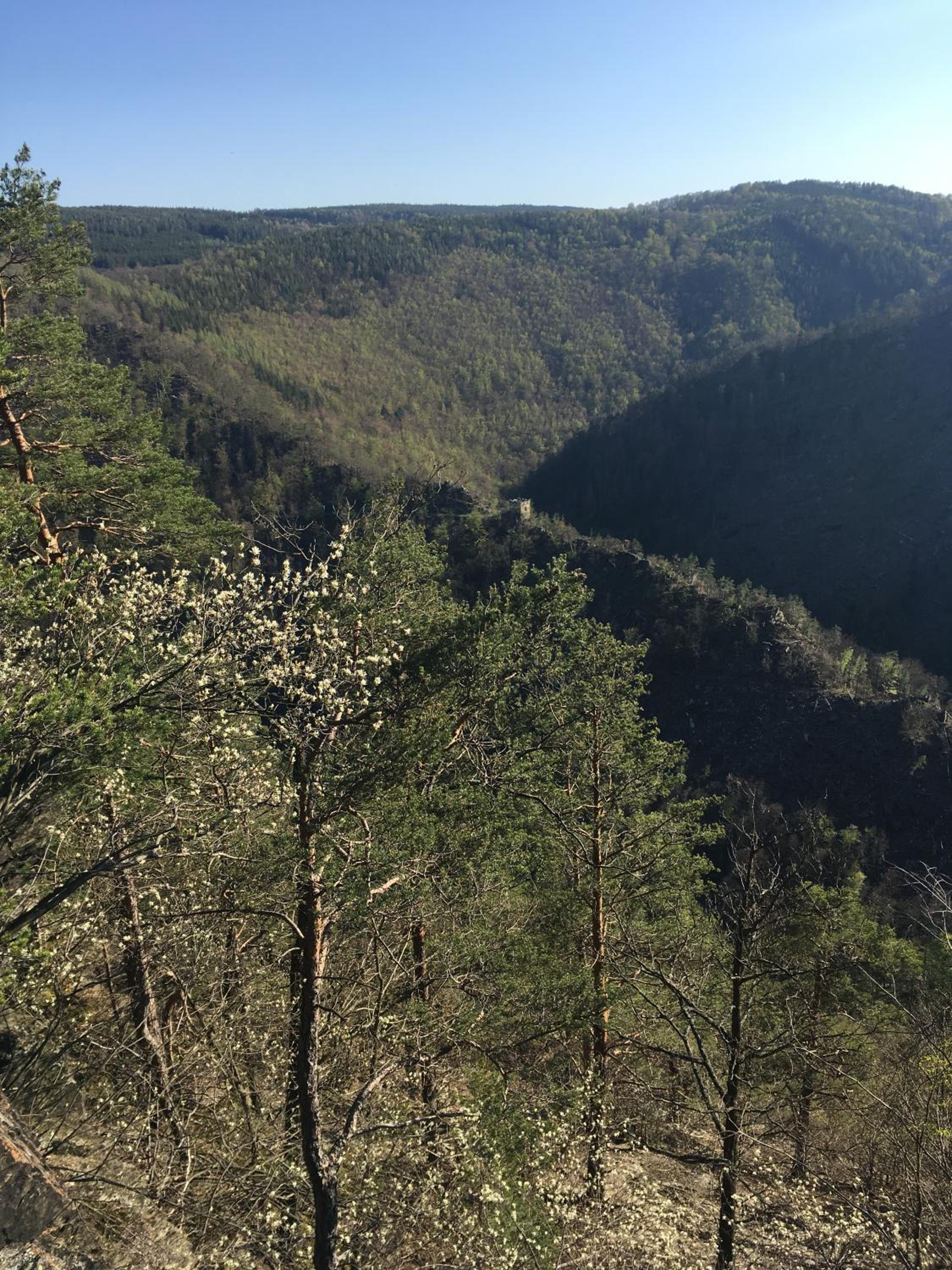 FeWo Burgblick