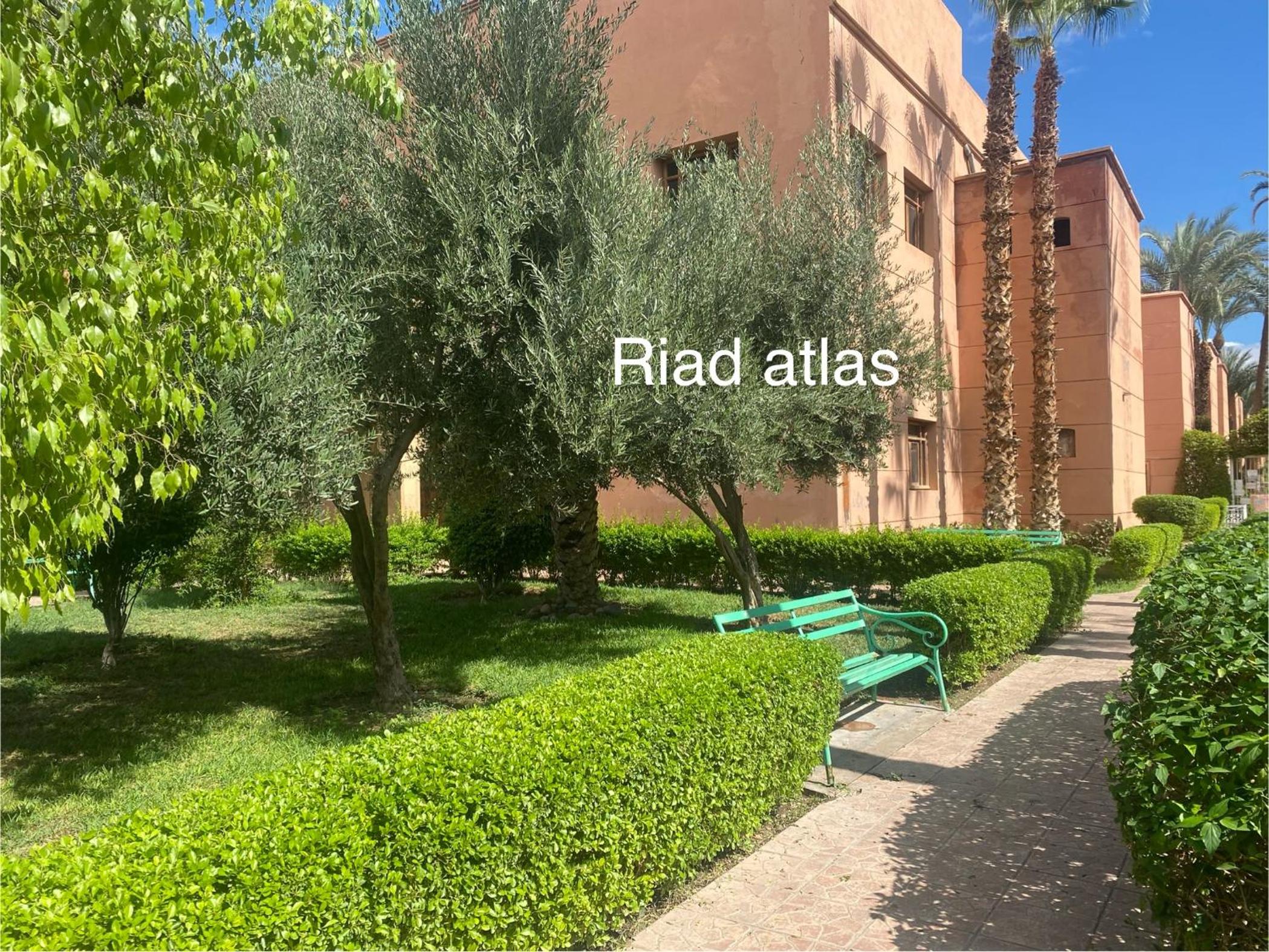 Photo 45