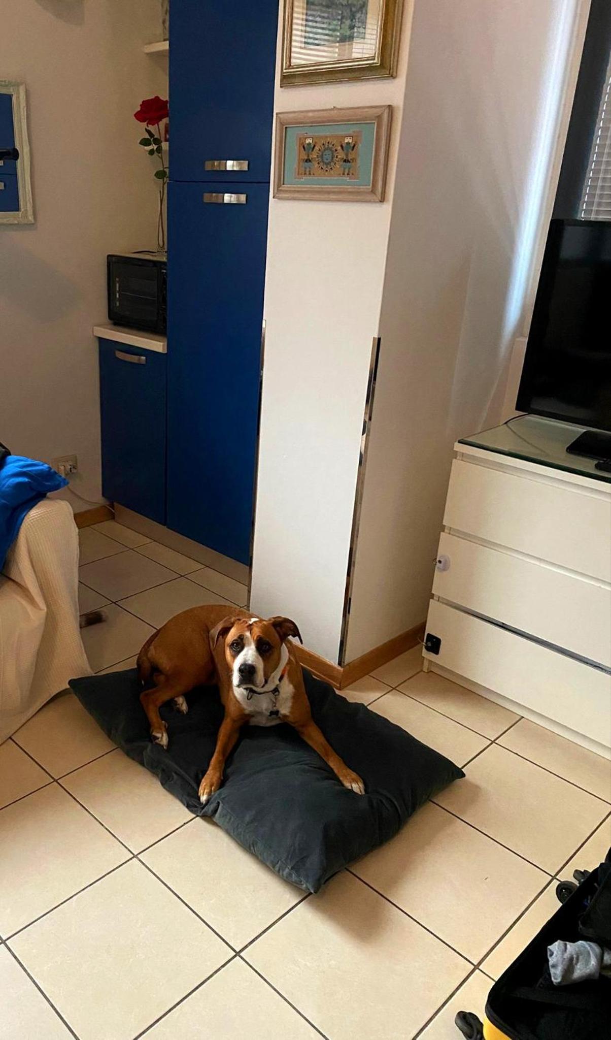 Gemme Fiorentine Apartments in front of the train station 5 minutes from the centre Free parking