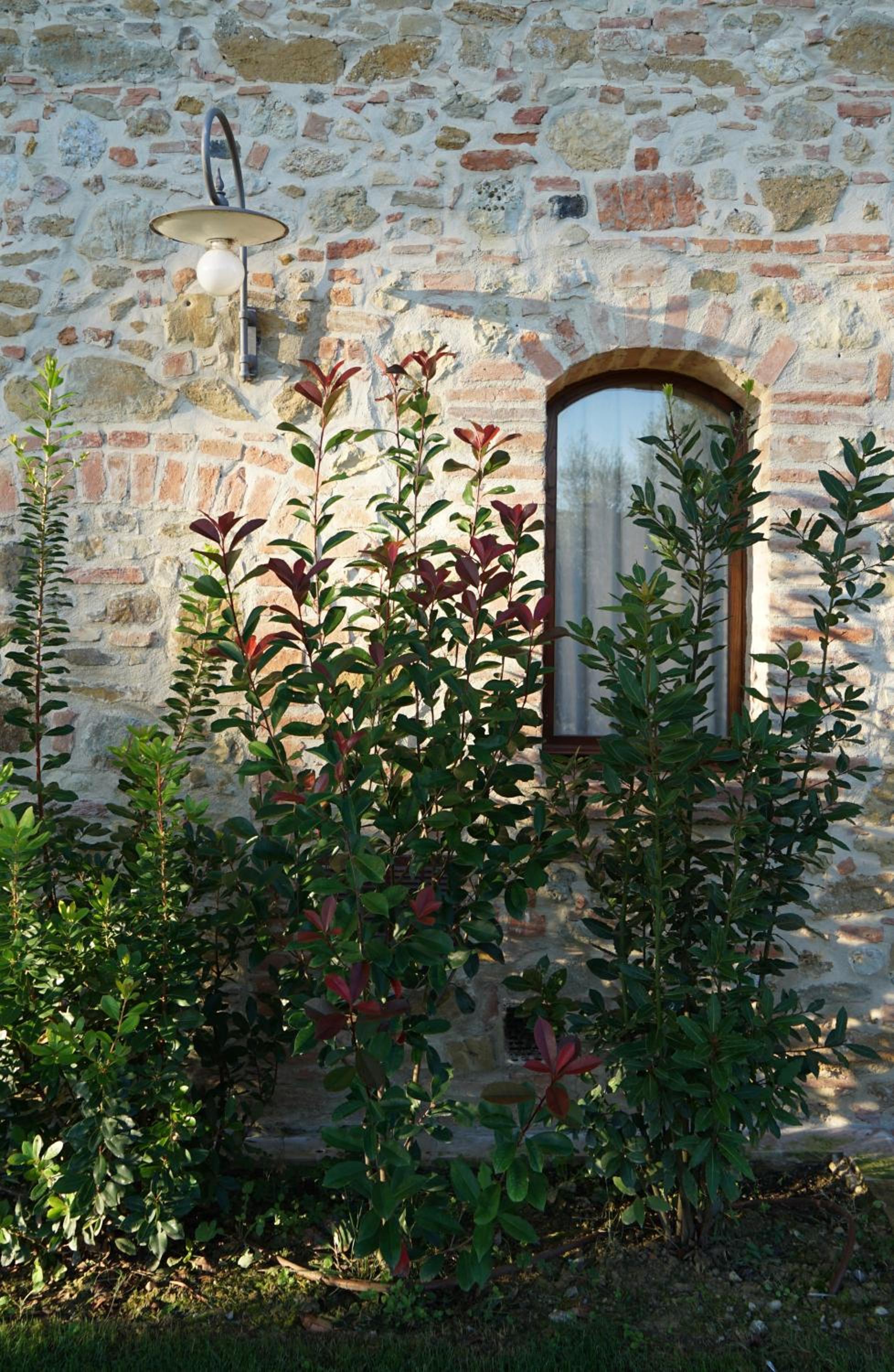 Mormoraia view 5