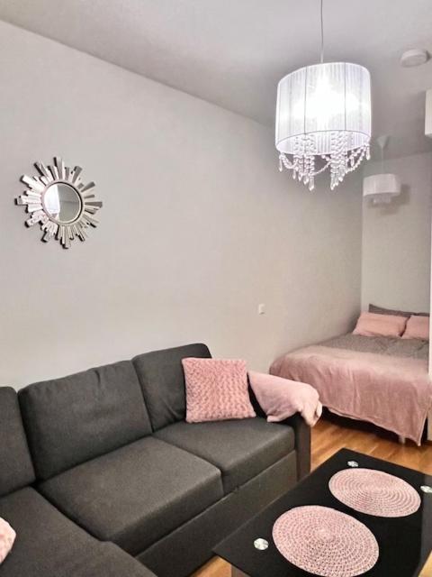 Studio Rosa