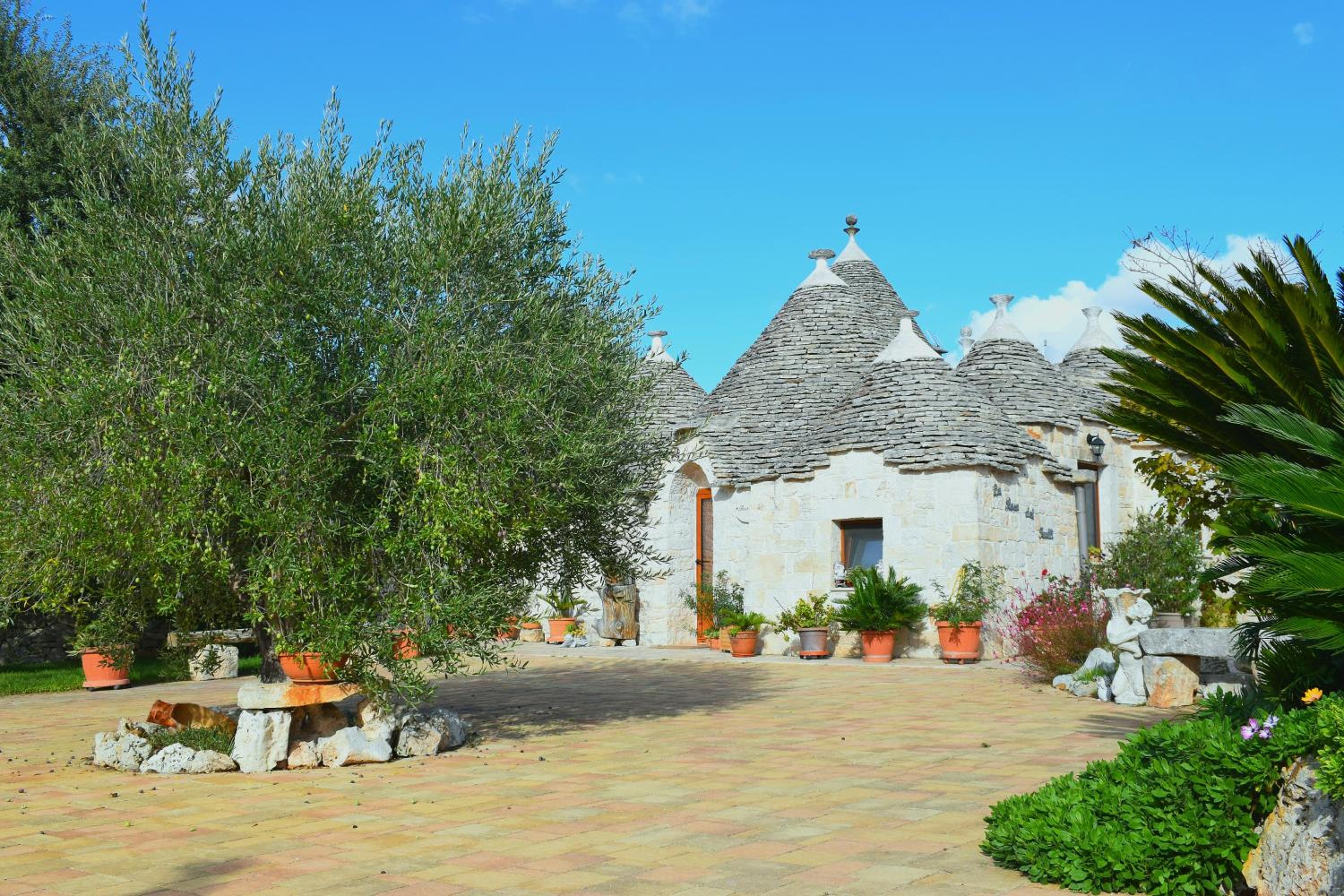 B&B La Rosa dei Trulli Alberobello