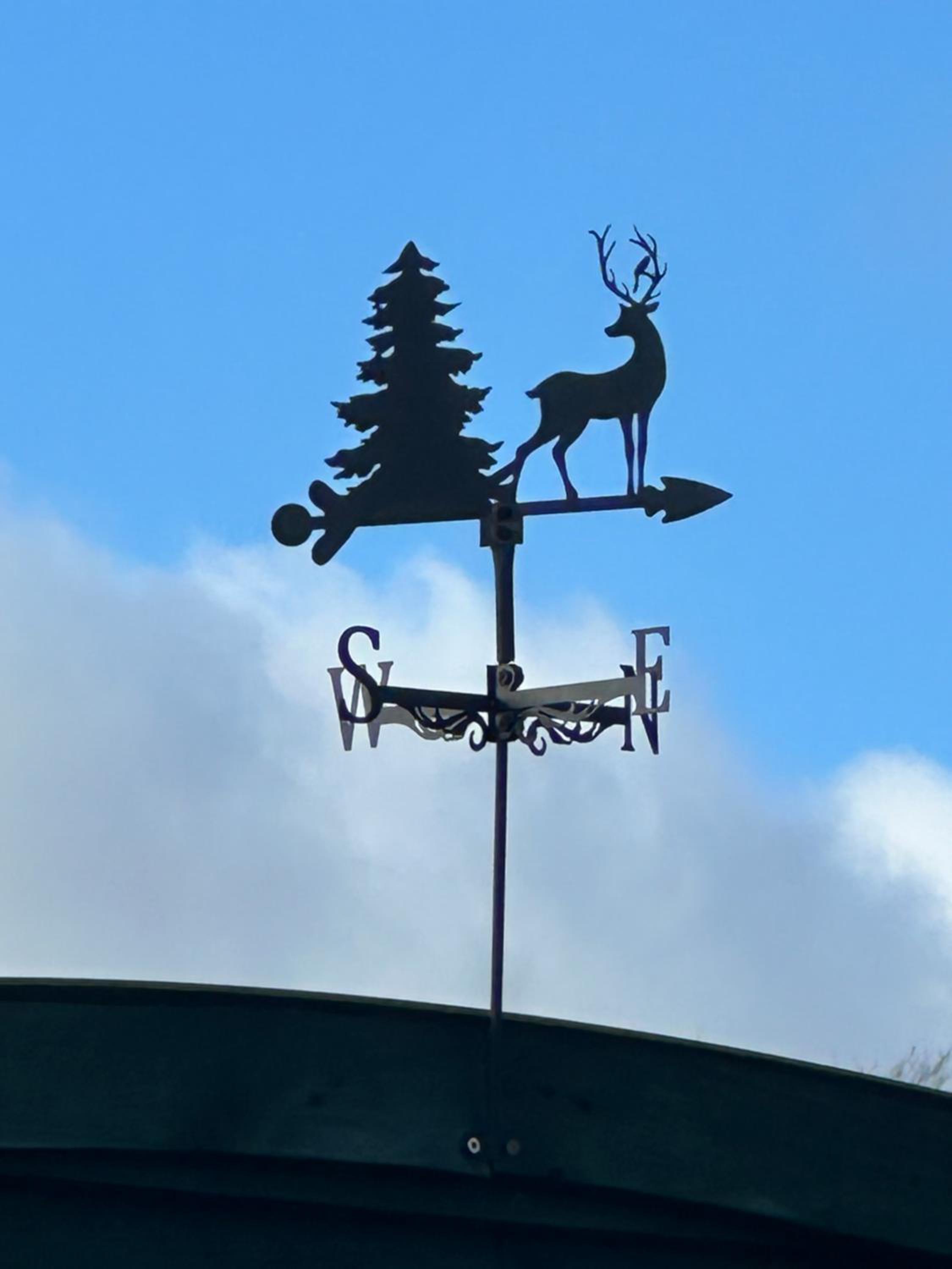 Stags Hide