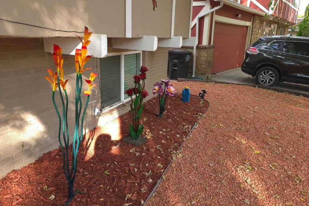 Colorado Four Season Funhouse