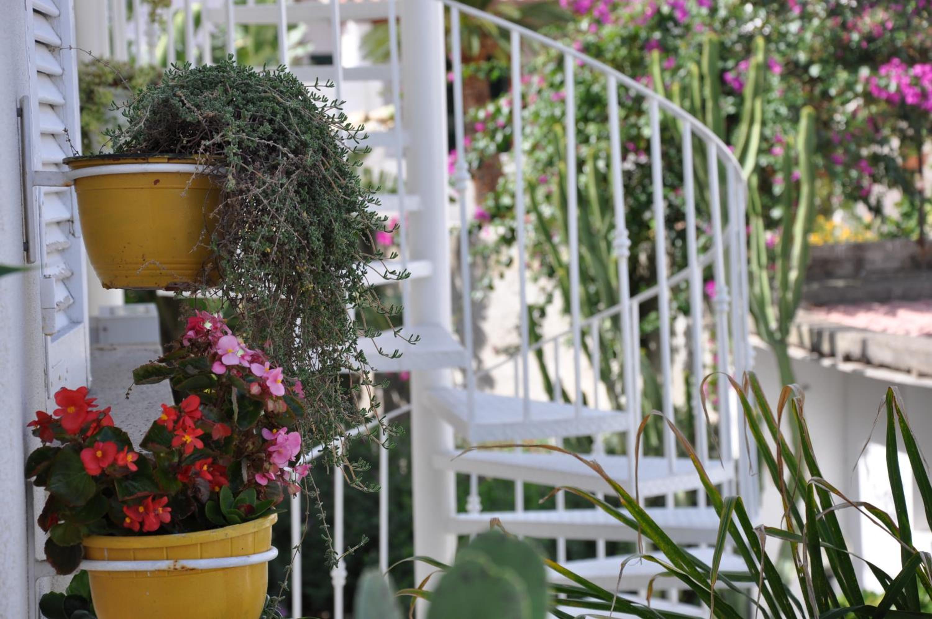 Villa Sea Rose photo 3